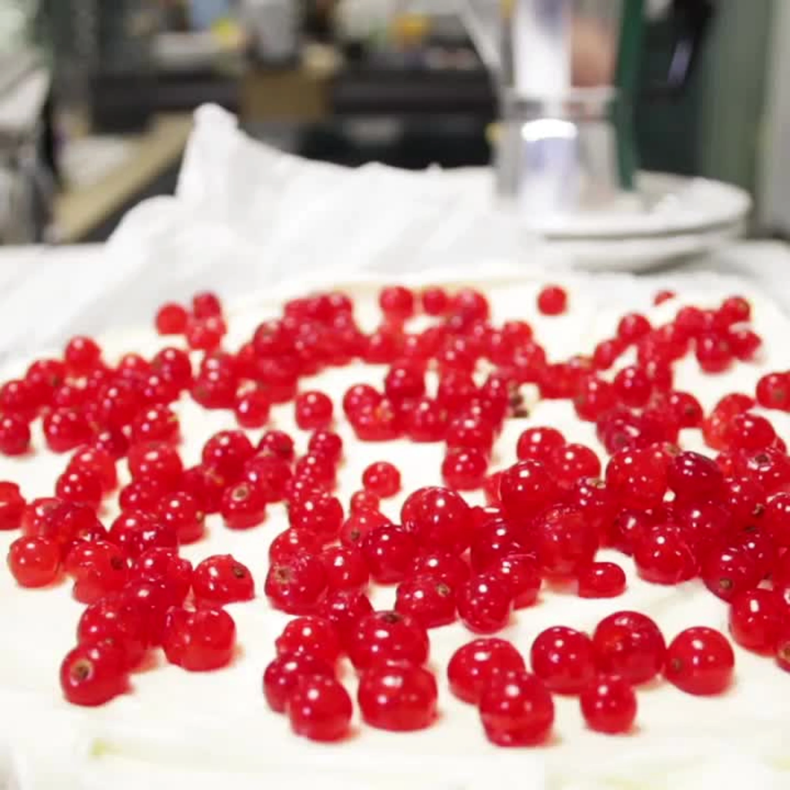 Browniekuchen mit Ribiseln und weißer Schokolade