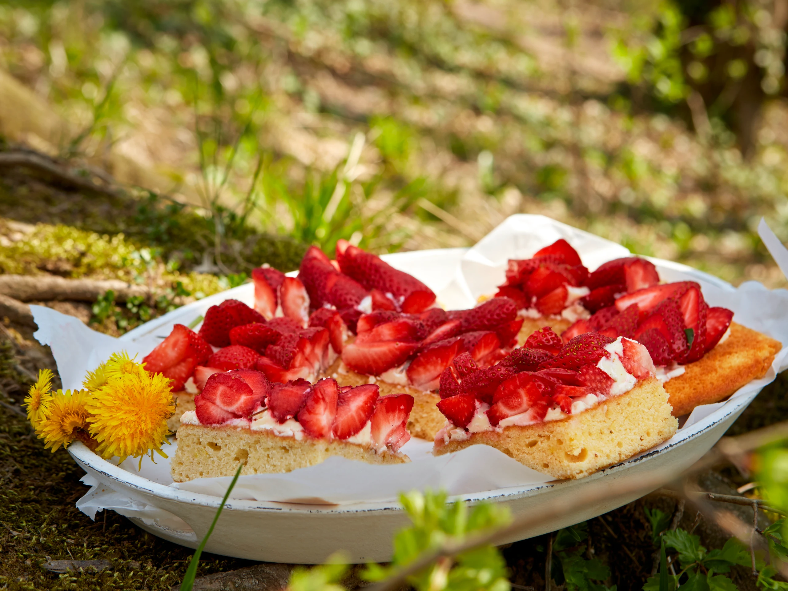 Erdbeerkuchen mit weißer Schokocreme