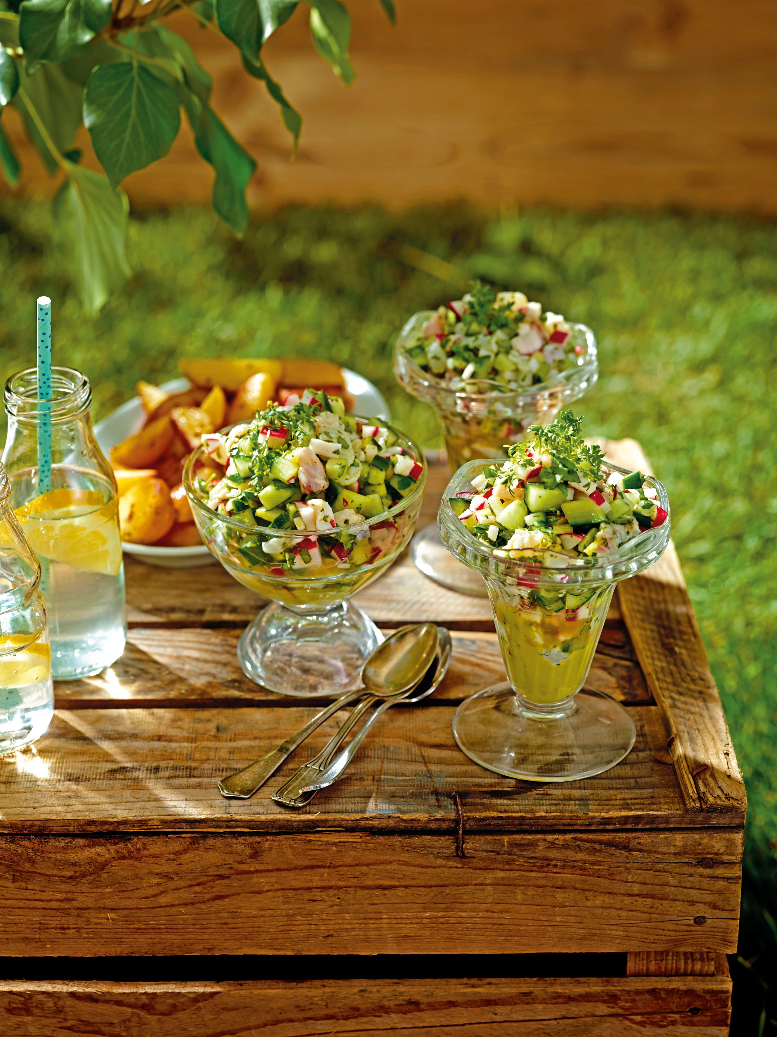 Zander-Ceviche mit Gurken und Radieschen auf Avocadocreme