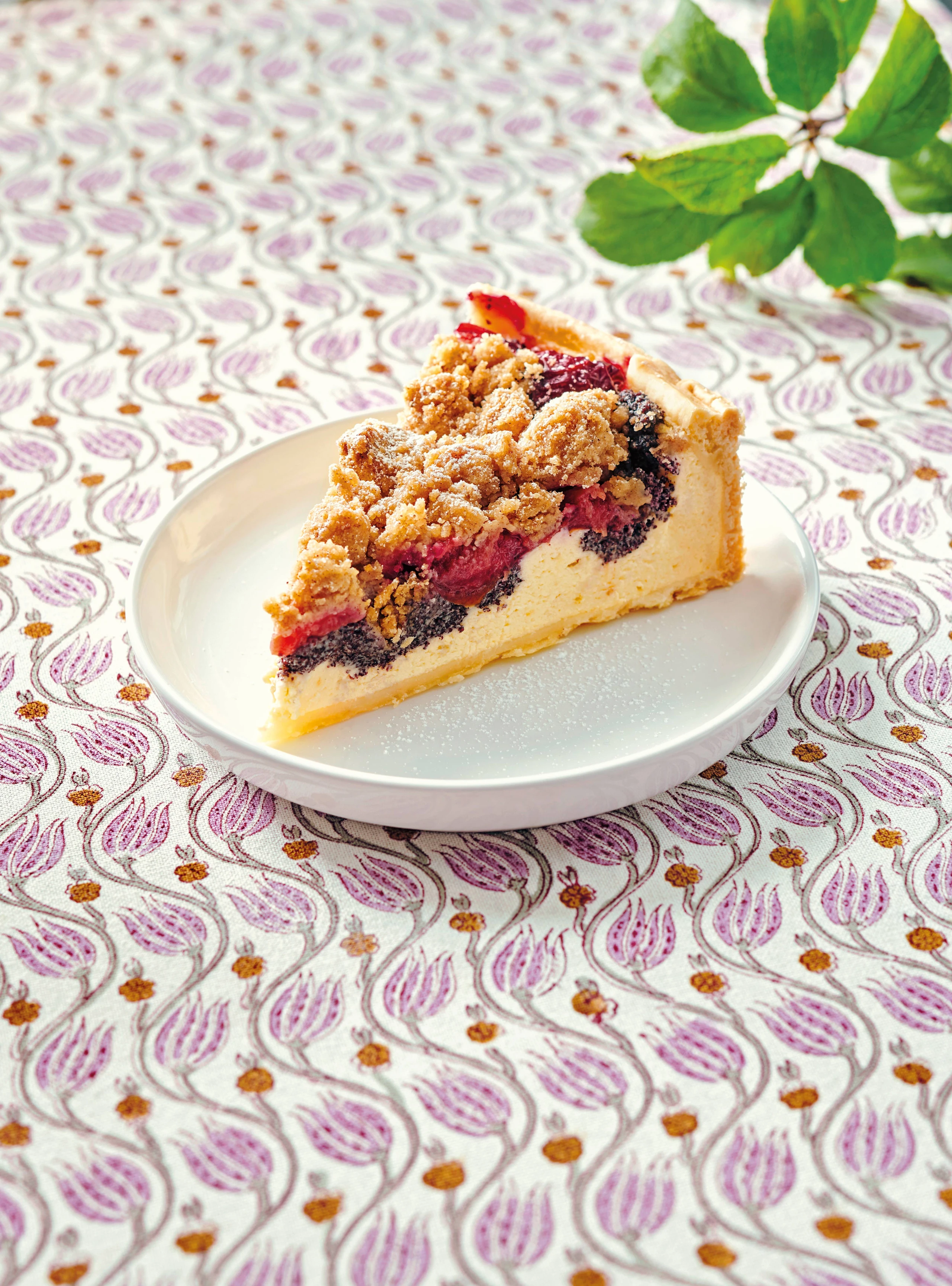 Mohn-Topfenkuchen mit Zwetschken