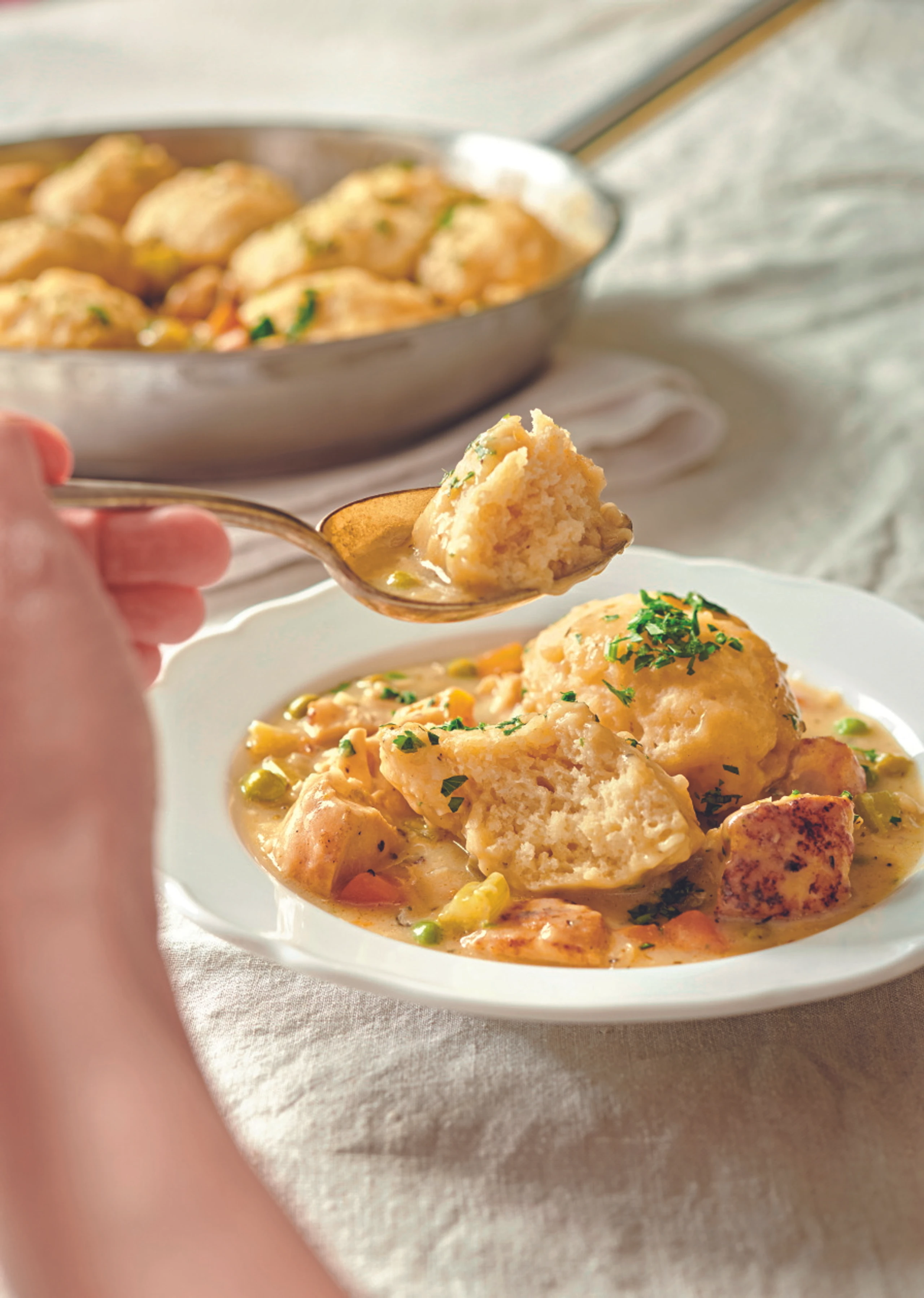 Chicken and Dumplings