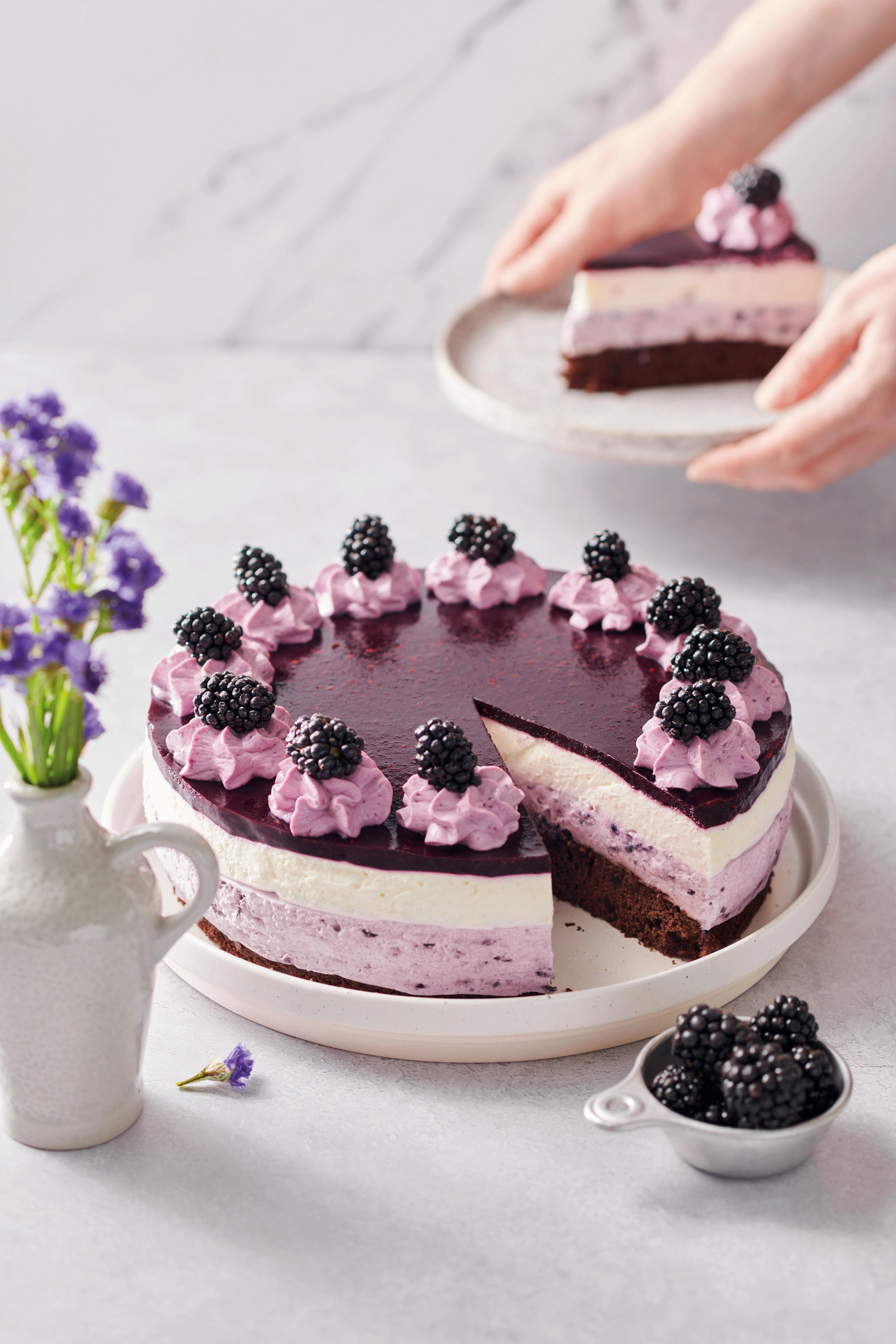 Brombeer-Joghurt-Torte Brombeer-Joghurt-Torte
