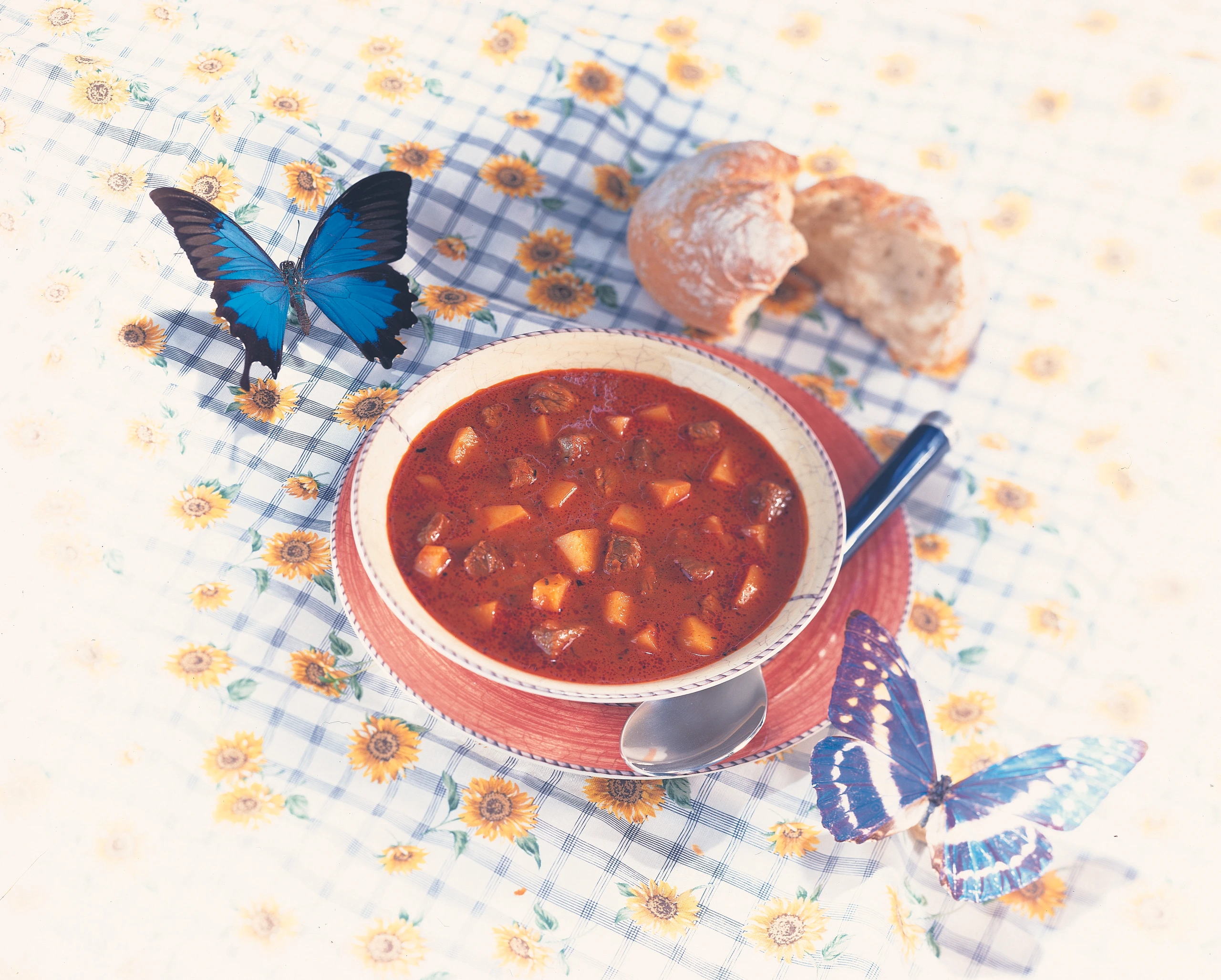 Fein würzige Gulasch-Rezepte