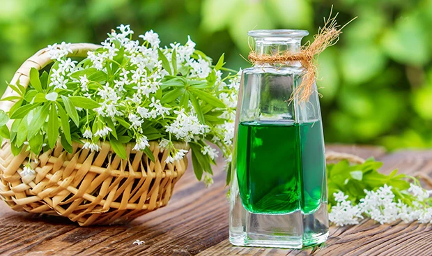 Waldmeistersirup