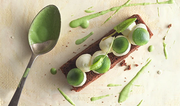 Schokokuchen mit Sauerampfer