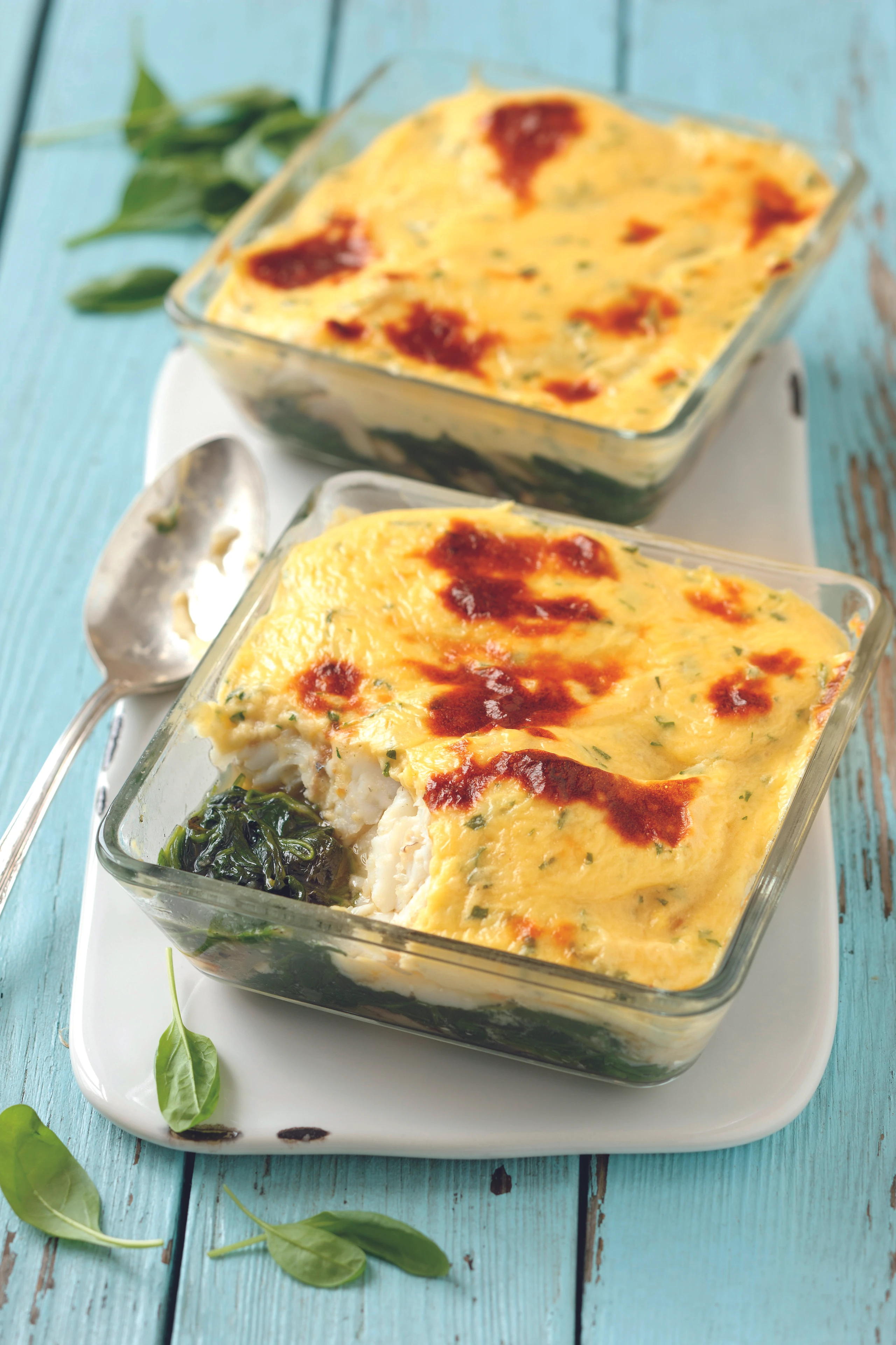 Überbackene Zanderfilets auf Blattspinat