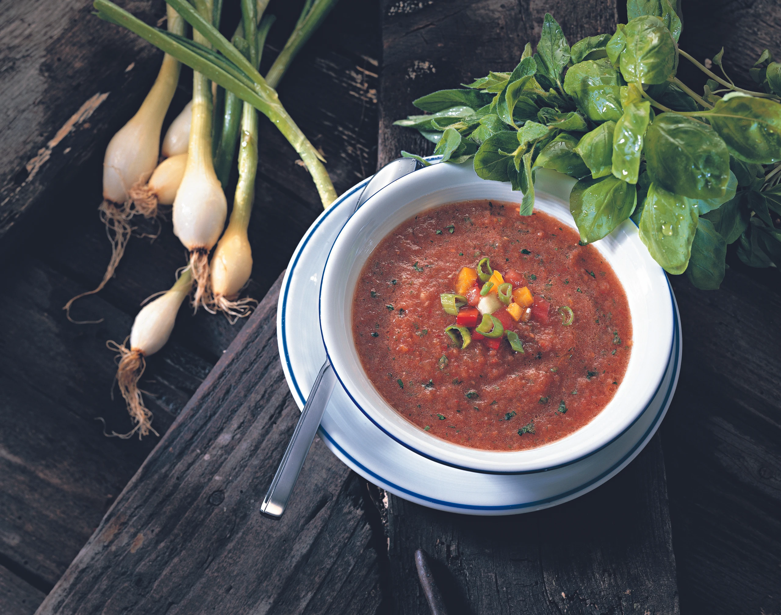 Gazpacho
