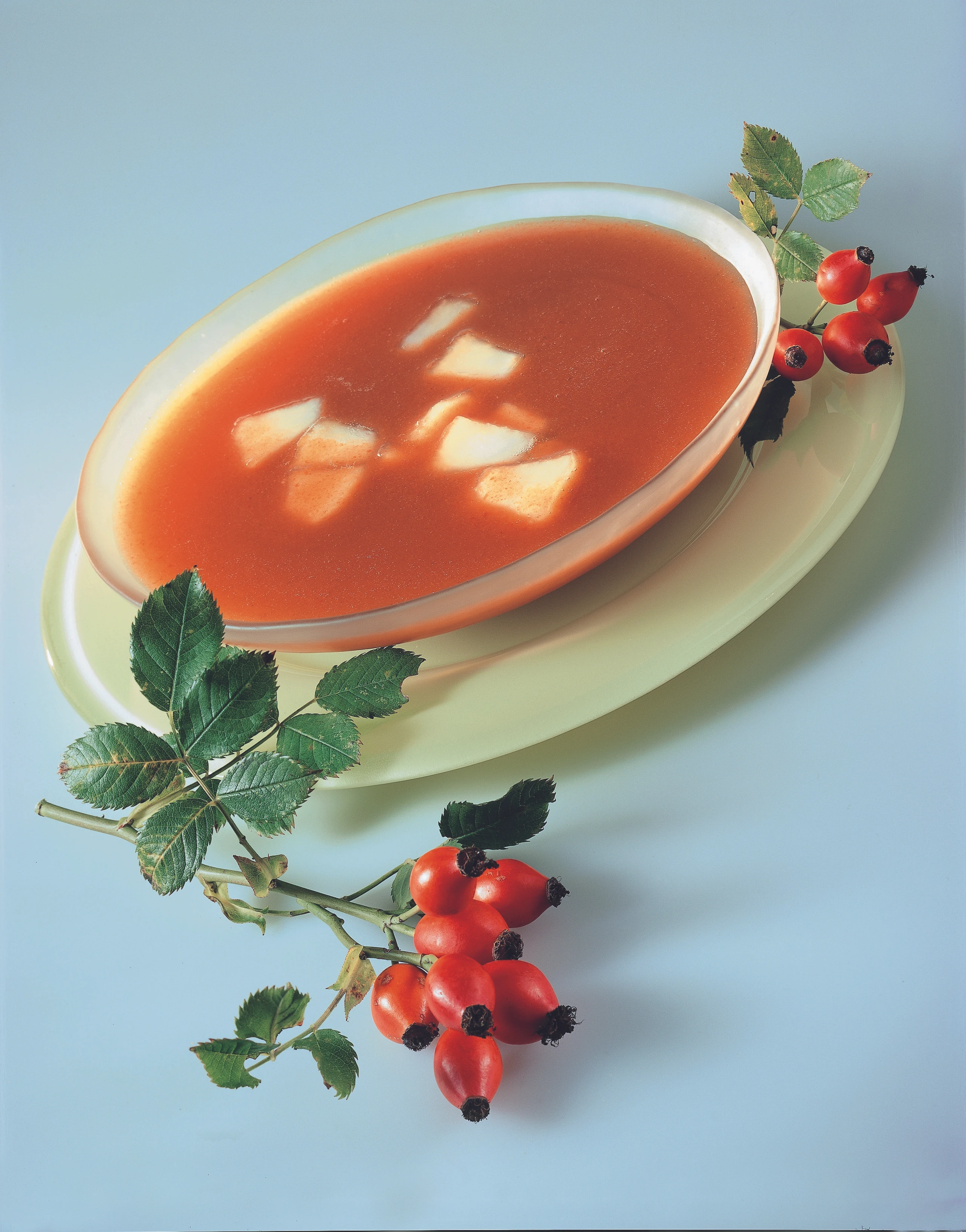 Hagebutten-Suppe mit Apfelstücken