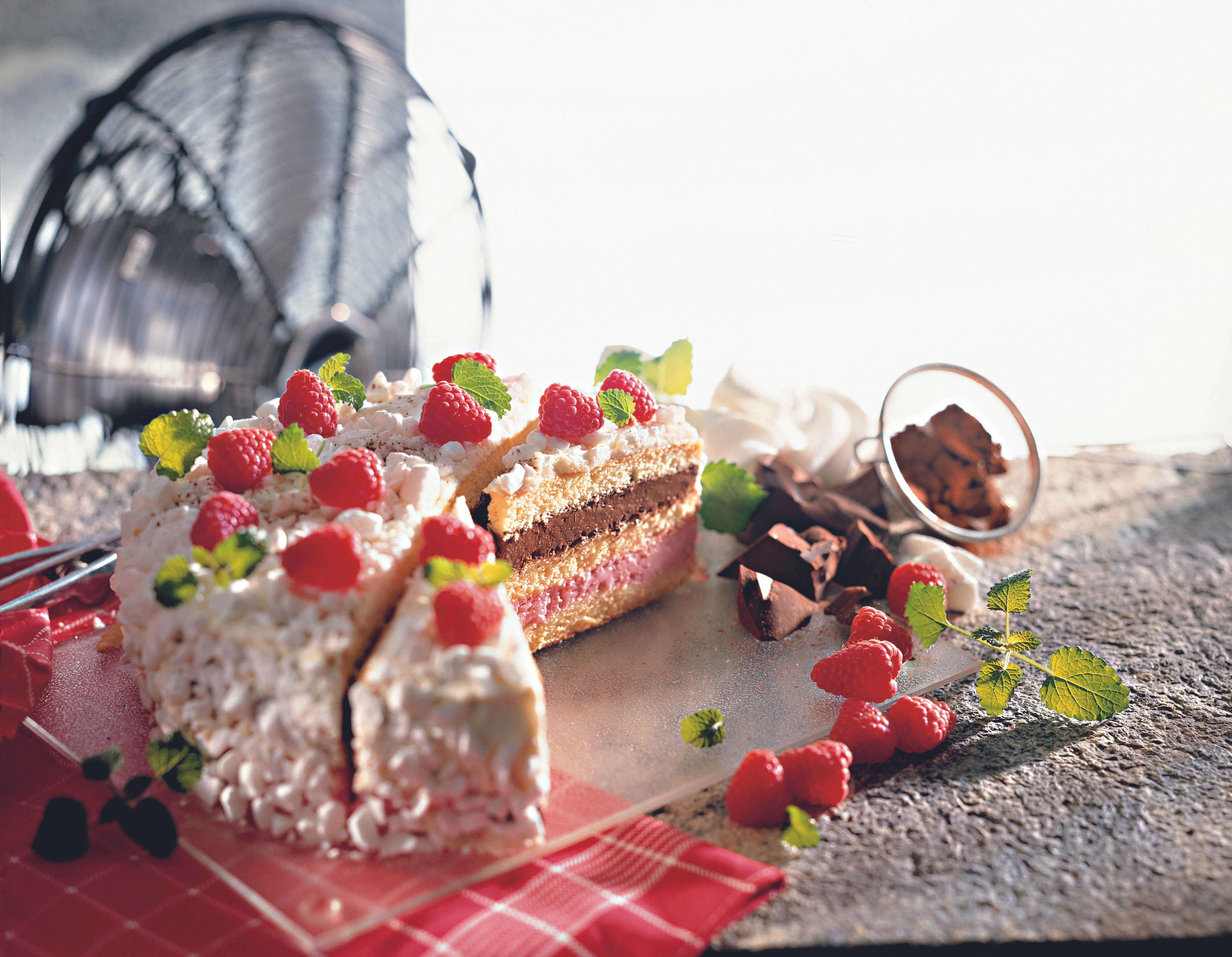 Himbeer-Schoko-Eistorte • Rezept Himbeer-Schoko-Eistorte • Rezept