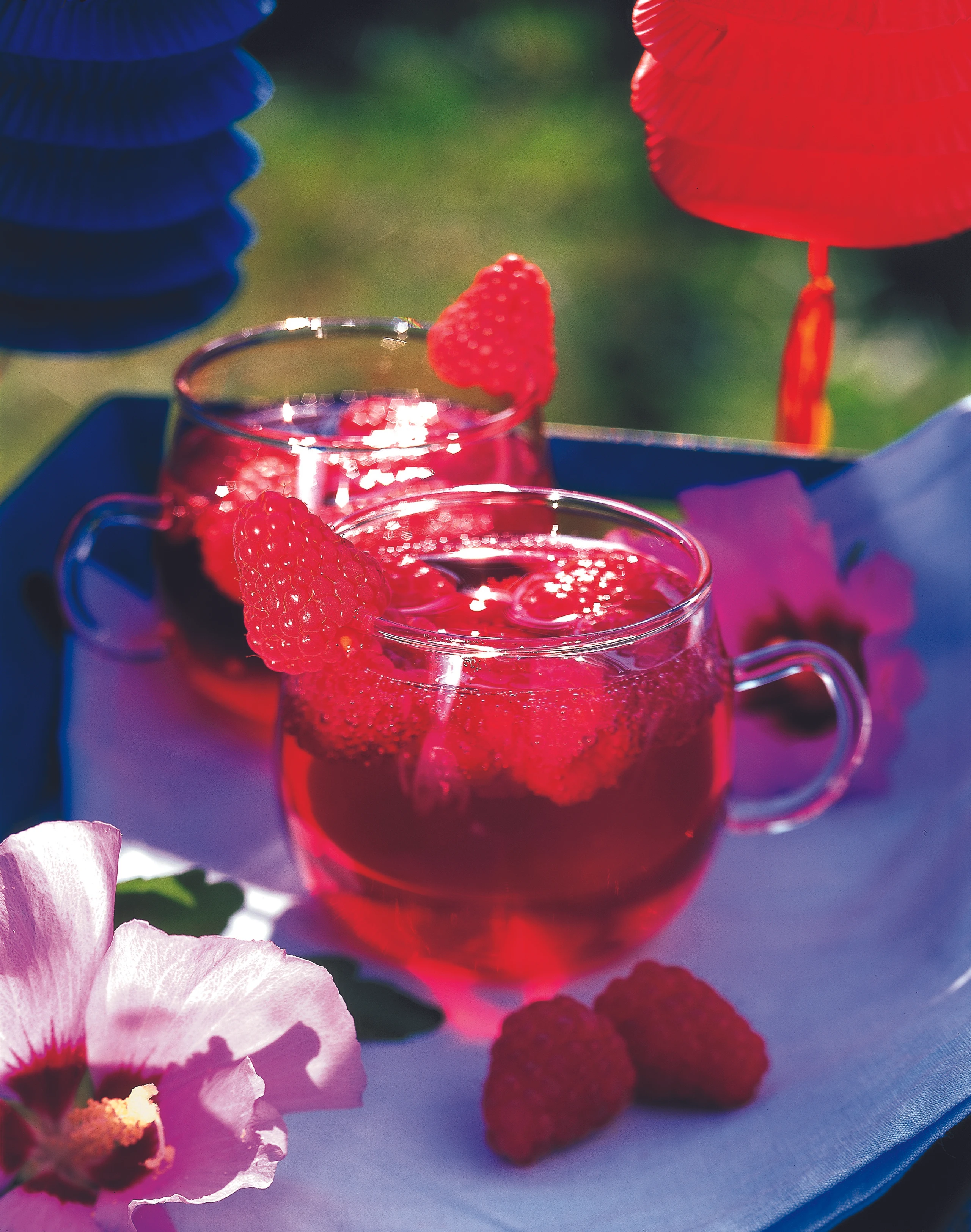 Rote Bowle