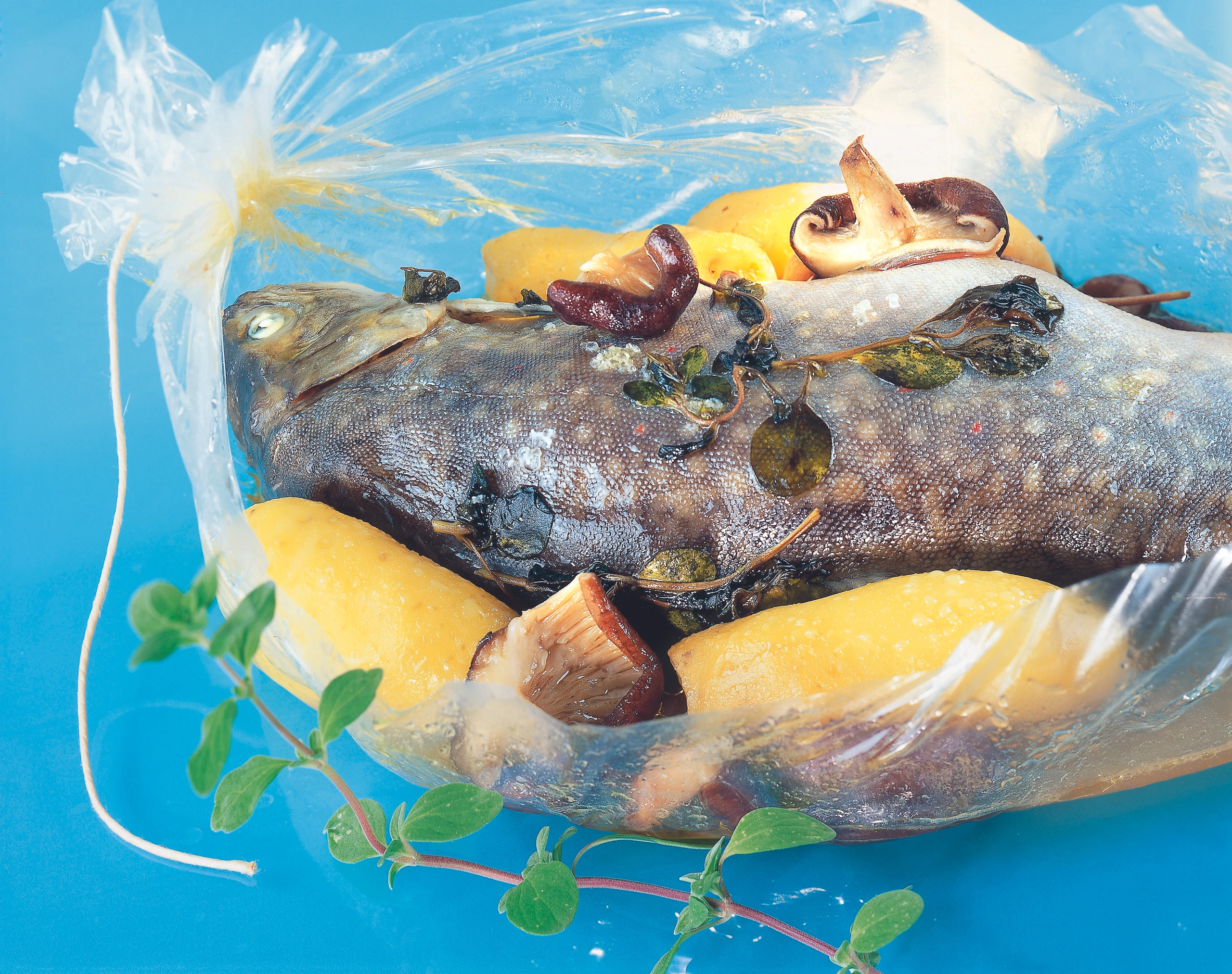 Saibling mit Pilzen und Erdäpfeln