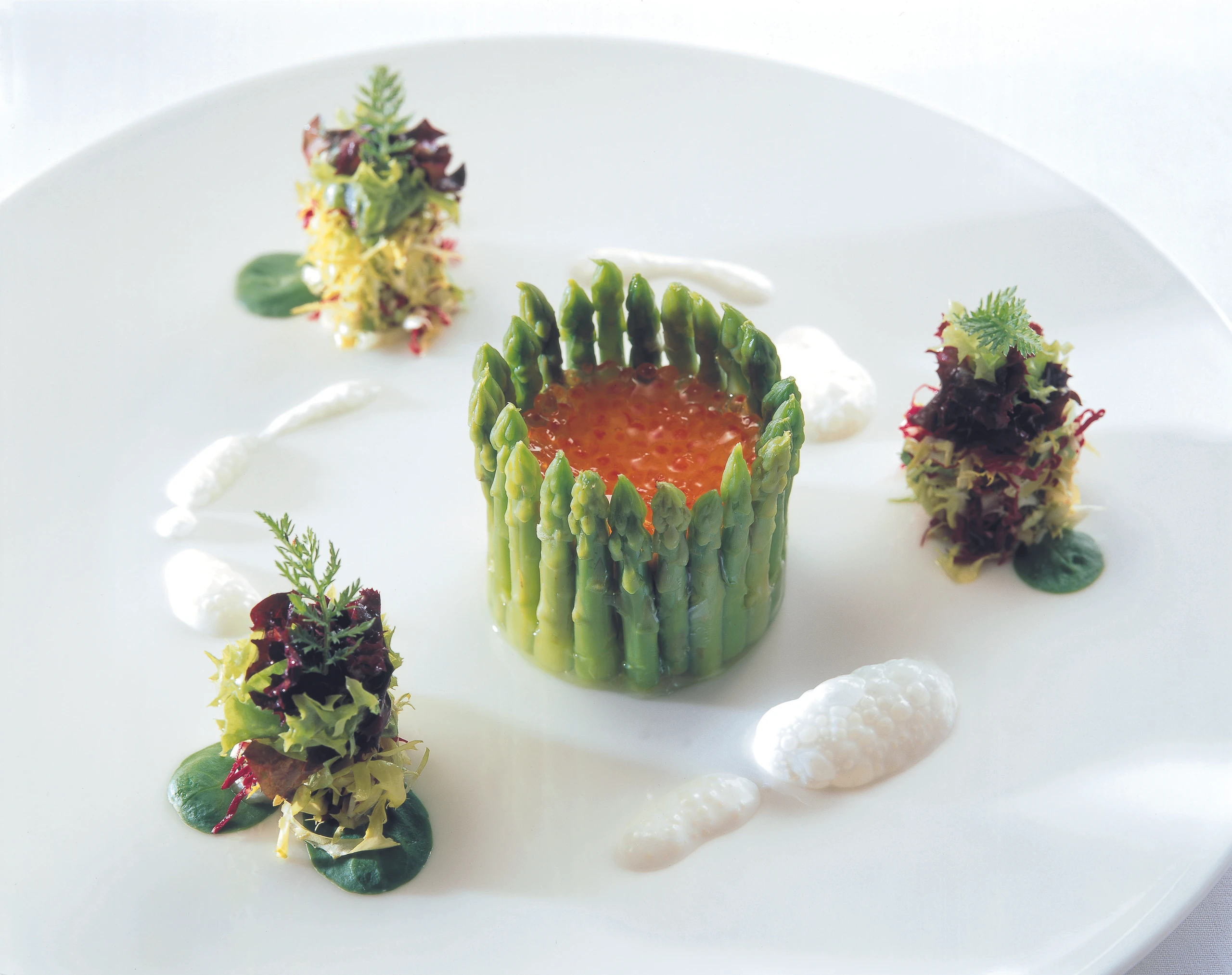 Chartreuse vom grünen Spargel