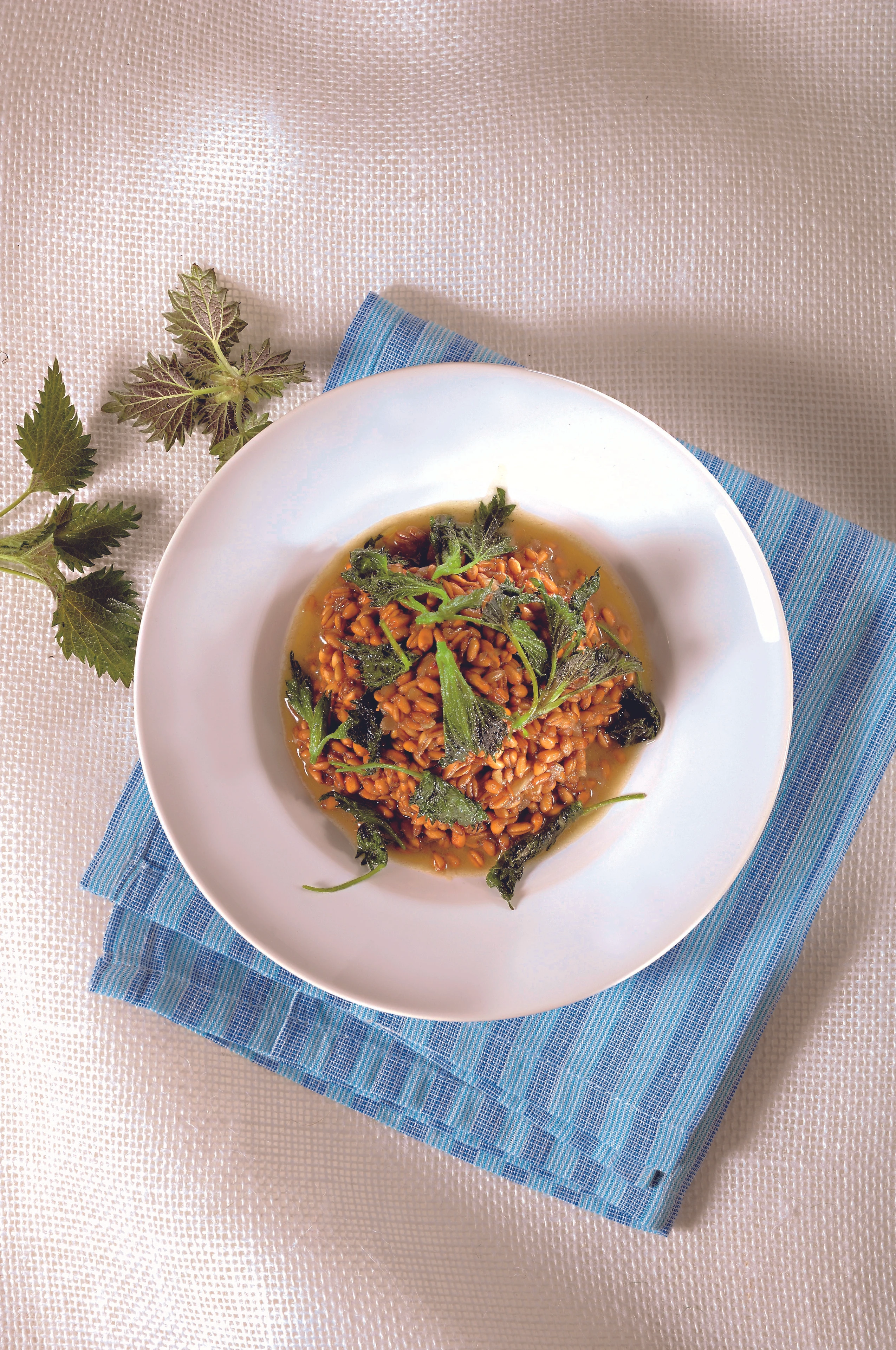 Waldviertler Emmer-Risotto mit Brennnesseln