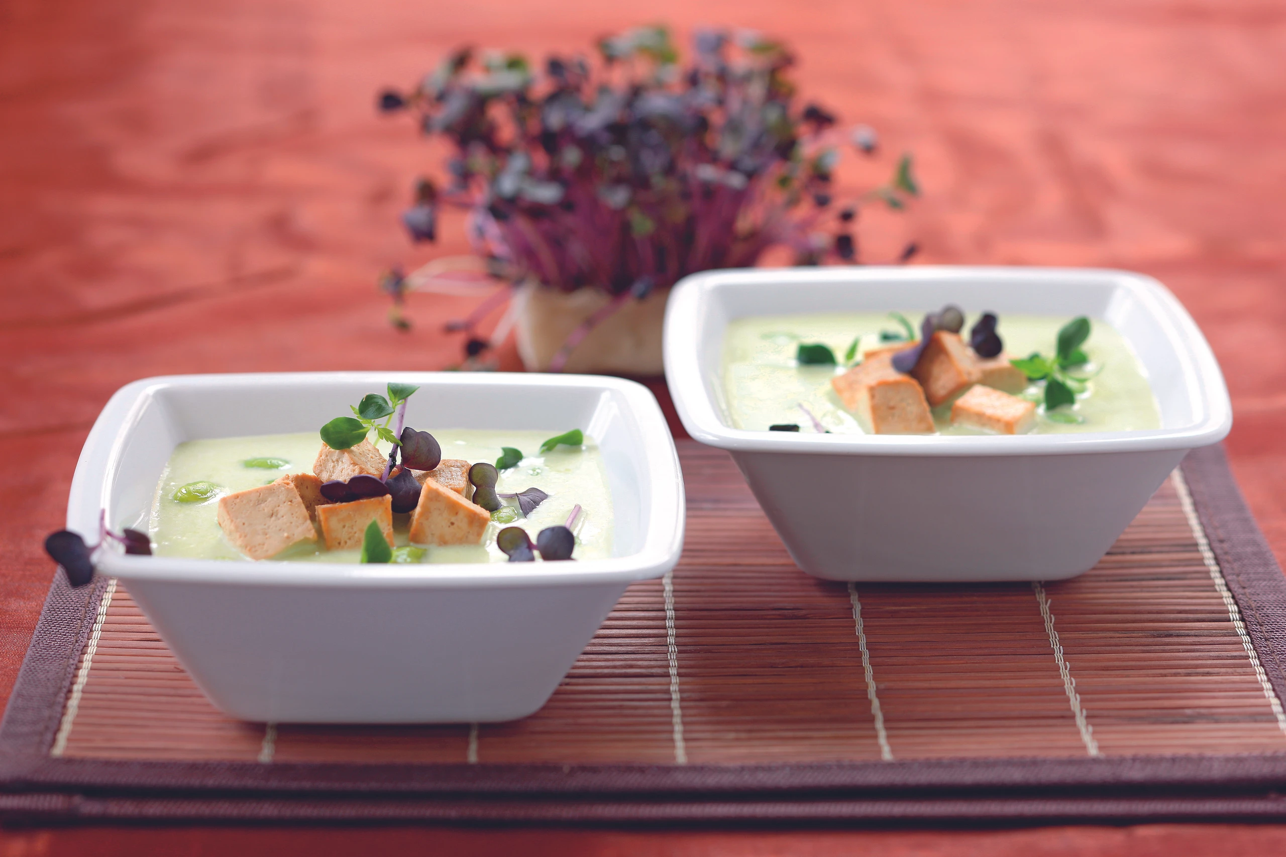 Sojabohnensuppe mit Tofu