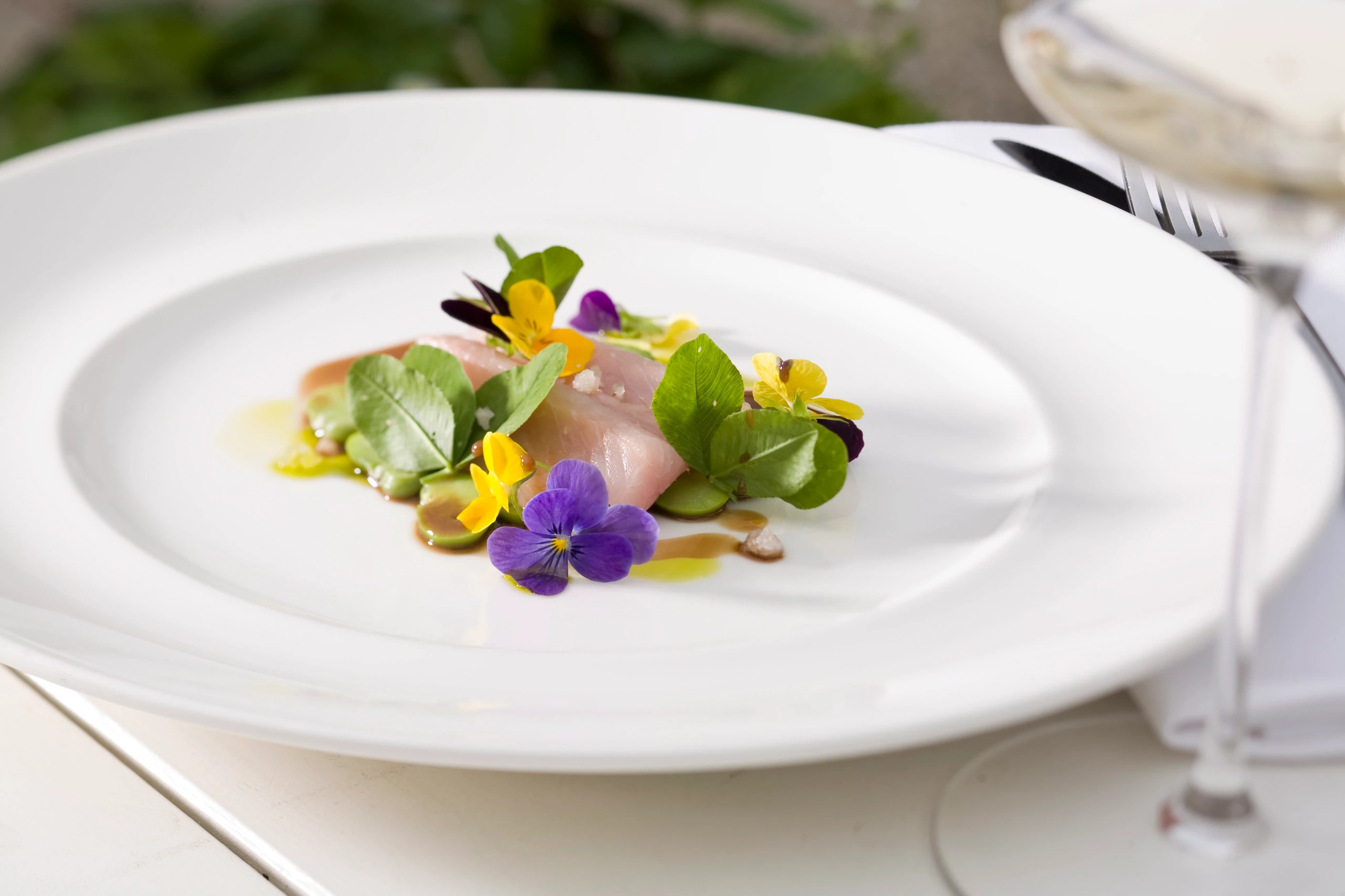 Marinierter Huchen mit Saubohnen und Klee