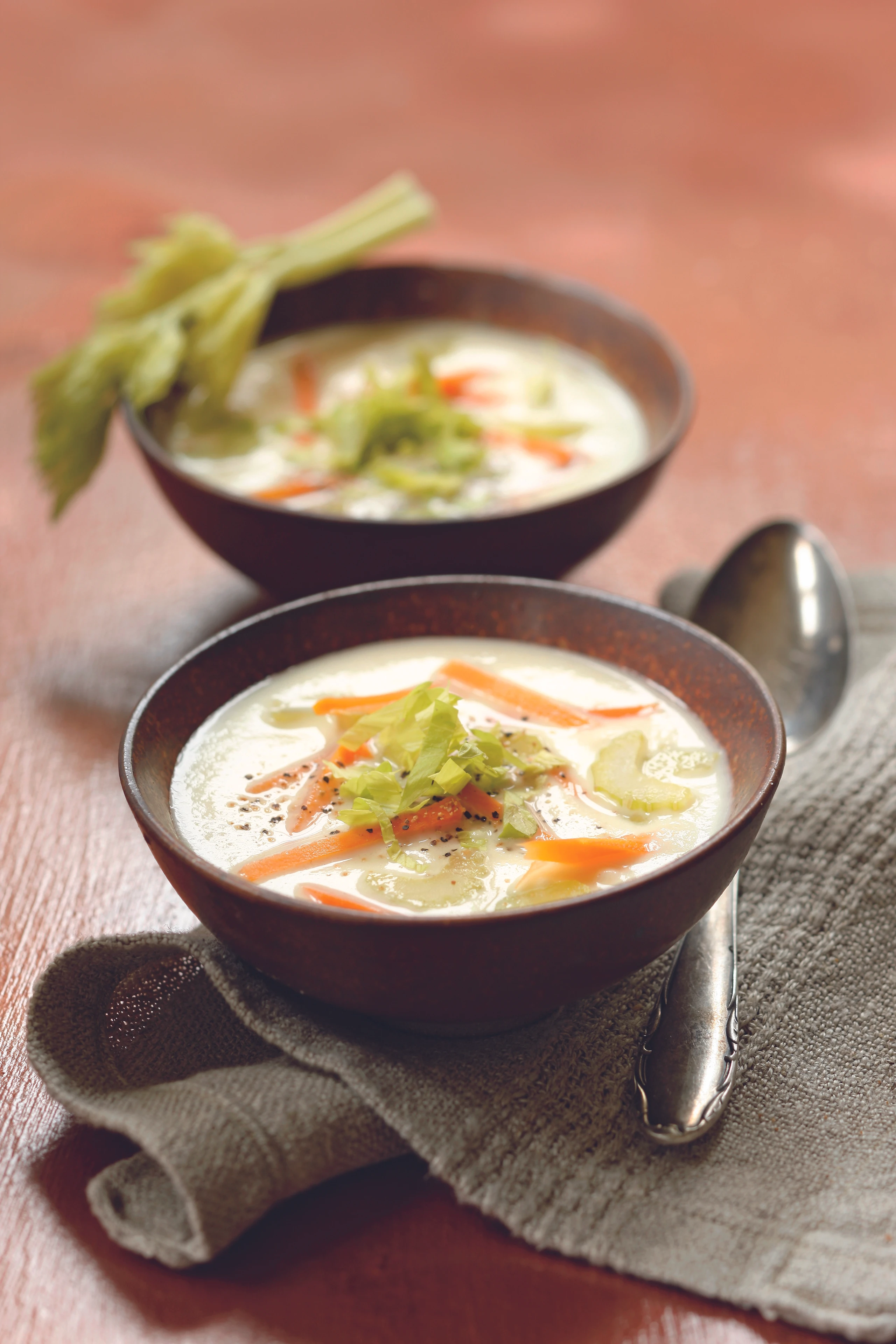 Selleriesuppe mit Karotten
