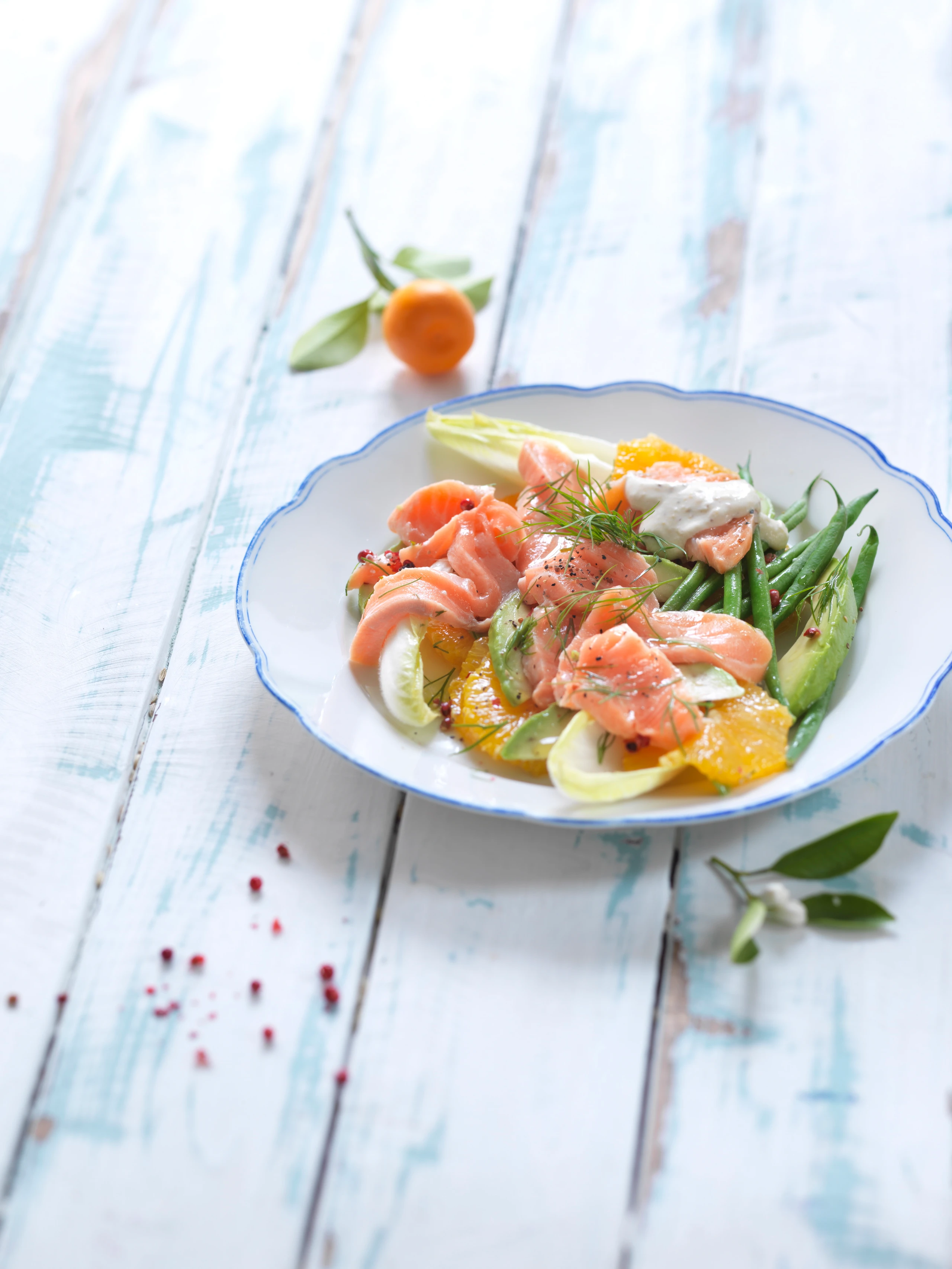 Lachs mit Orangen und Fisolen