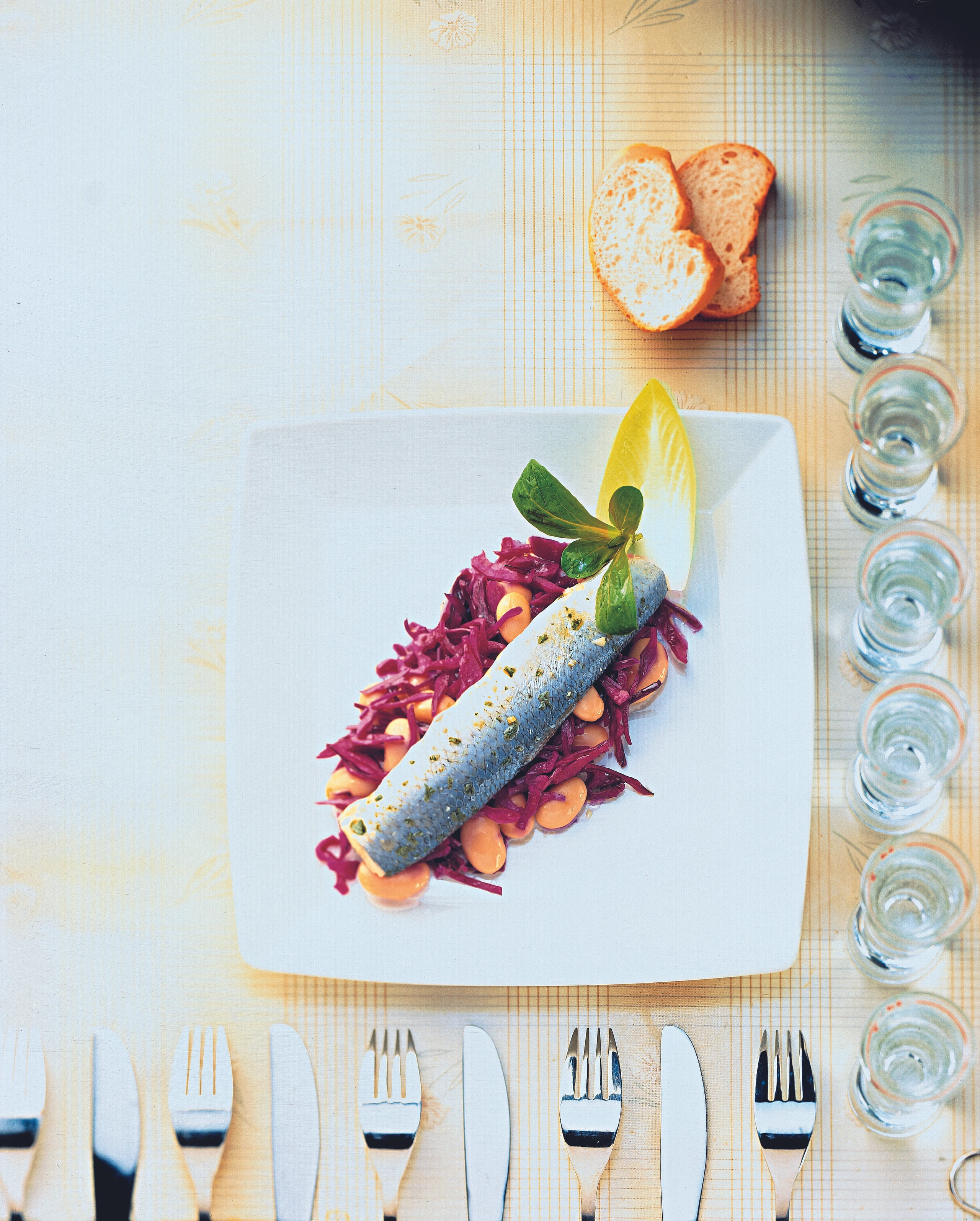 Marinierte Russenfilets auf Rotkraut-Bohnensalat