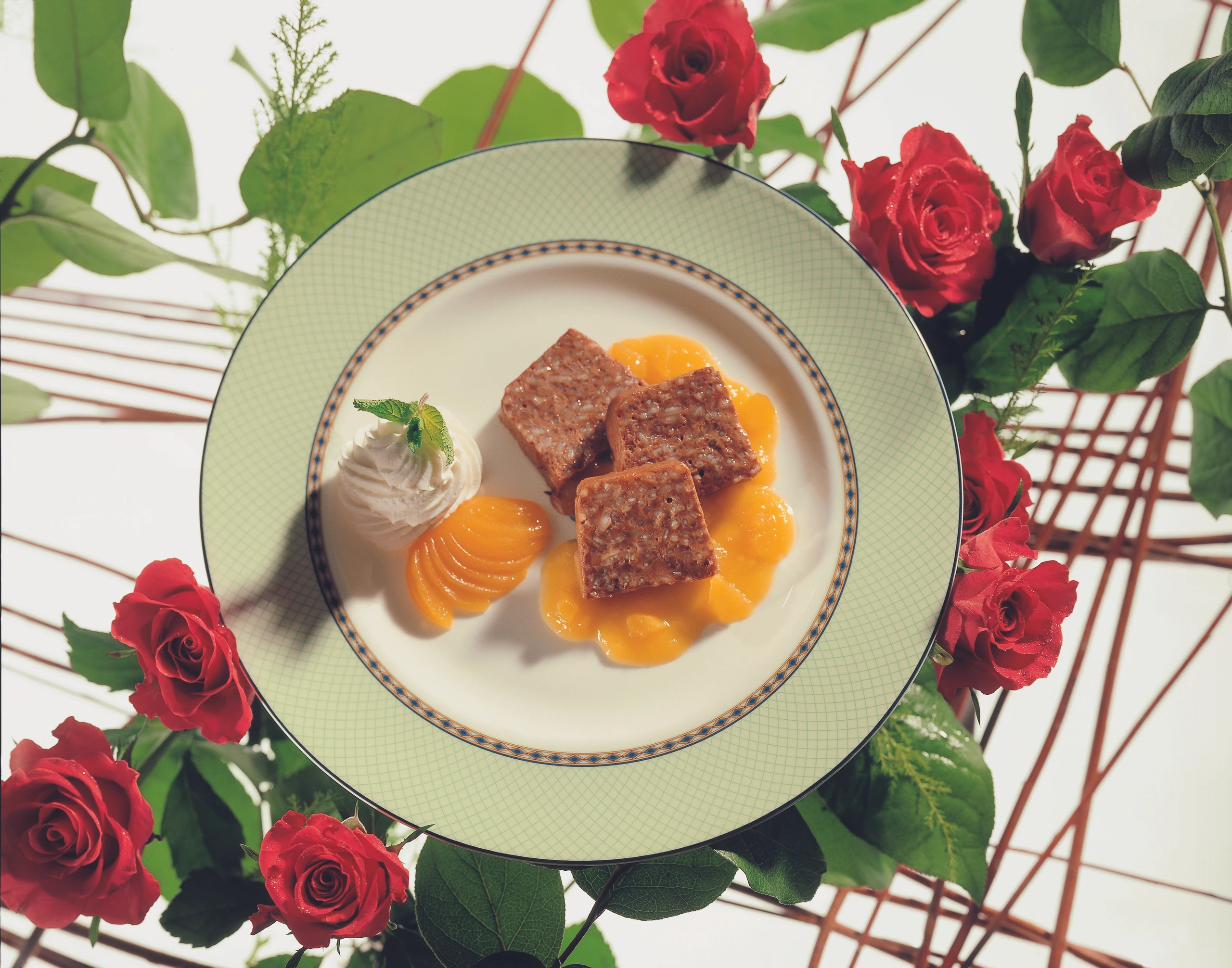 Schokoladereis-Terrine mit Marillensauce