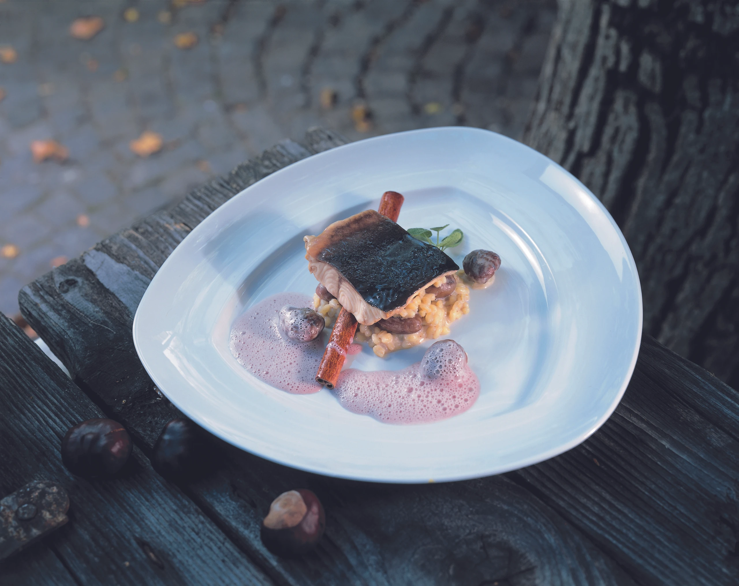 Gedämpftes Welsfilet mit Punsch-Fond