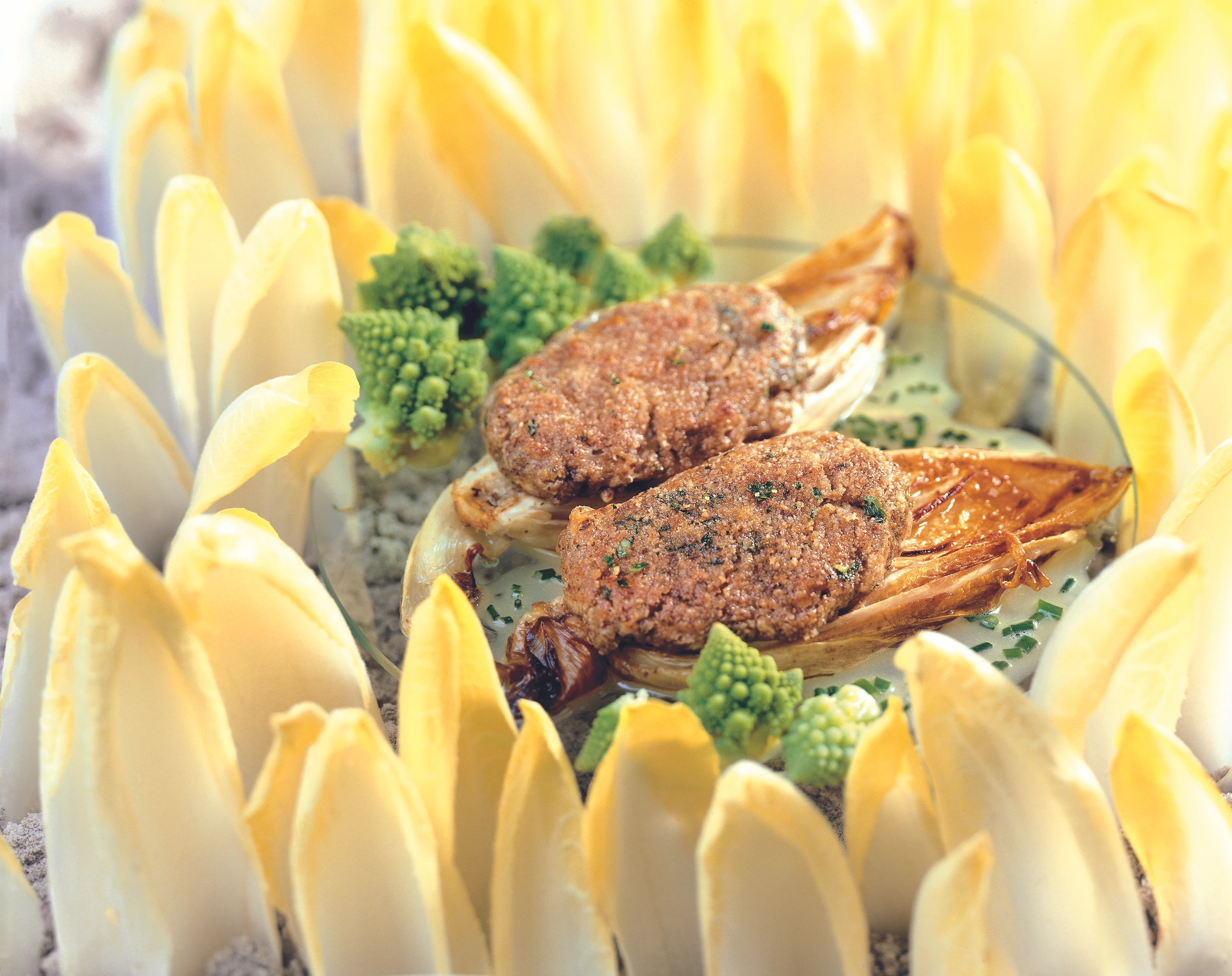 Chicorée mit Käse-Nusskruste