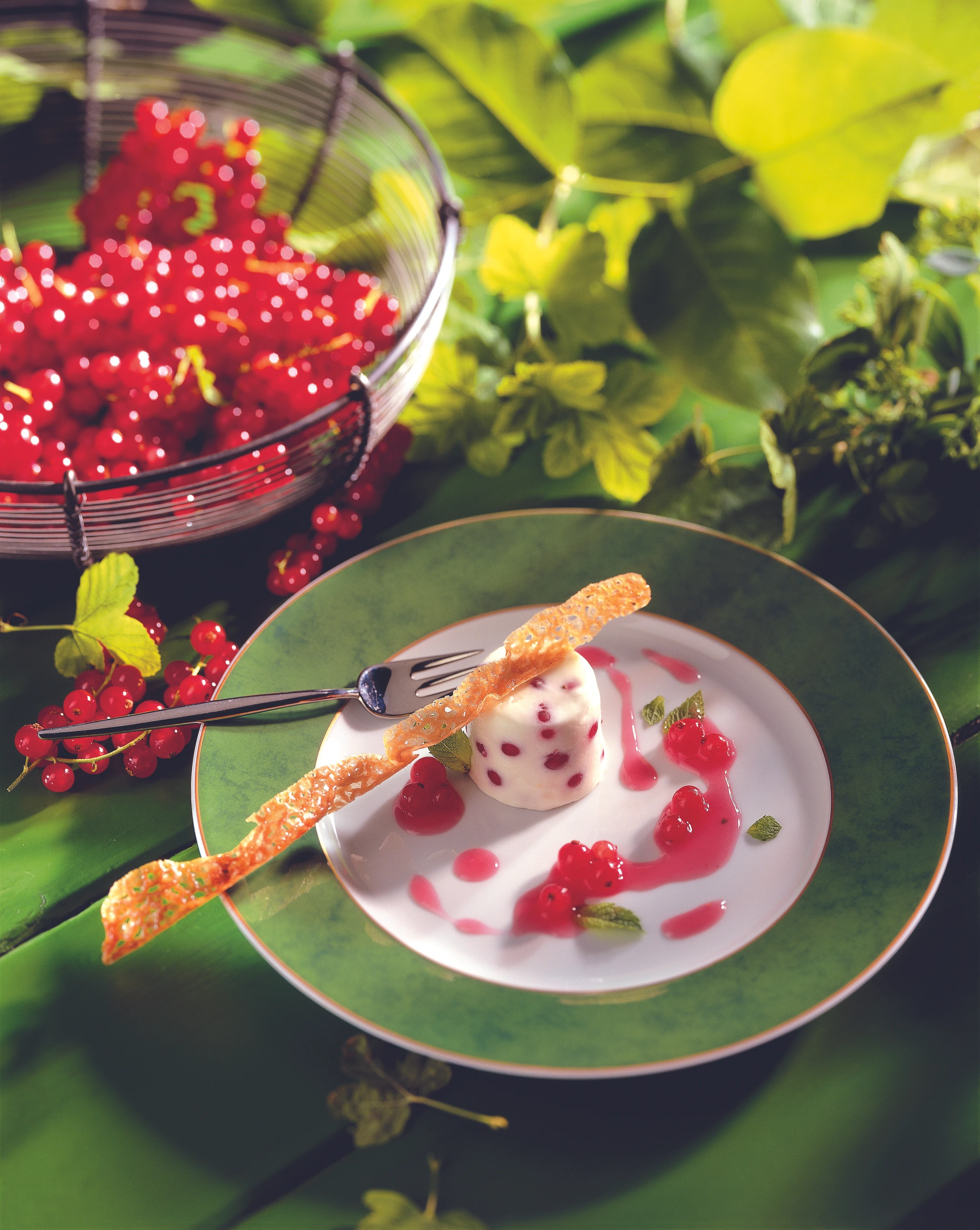 Ribisel-Joghurt-Creme mit Krokantstangerln