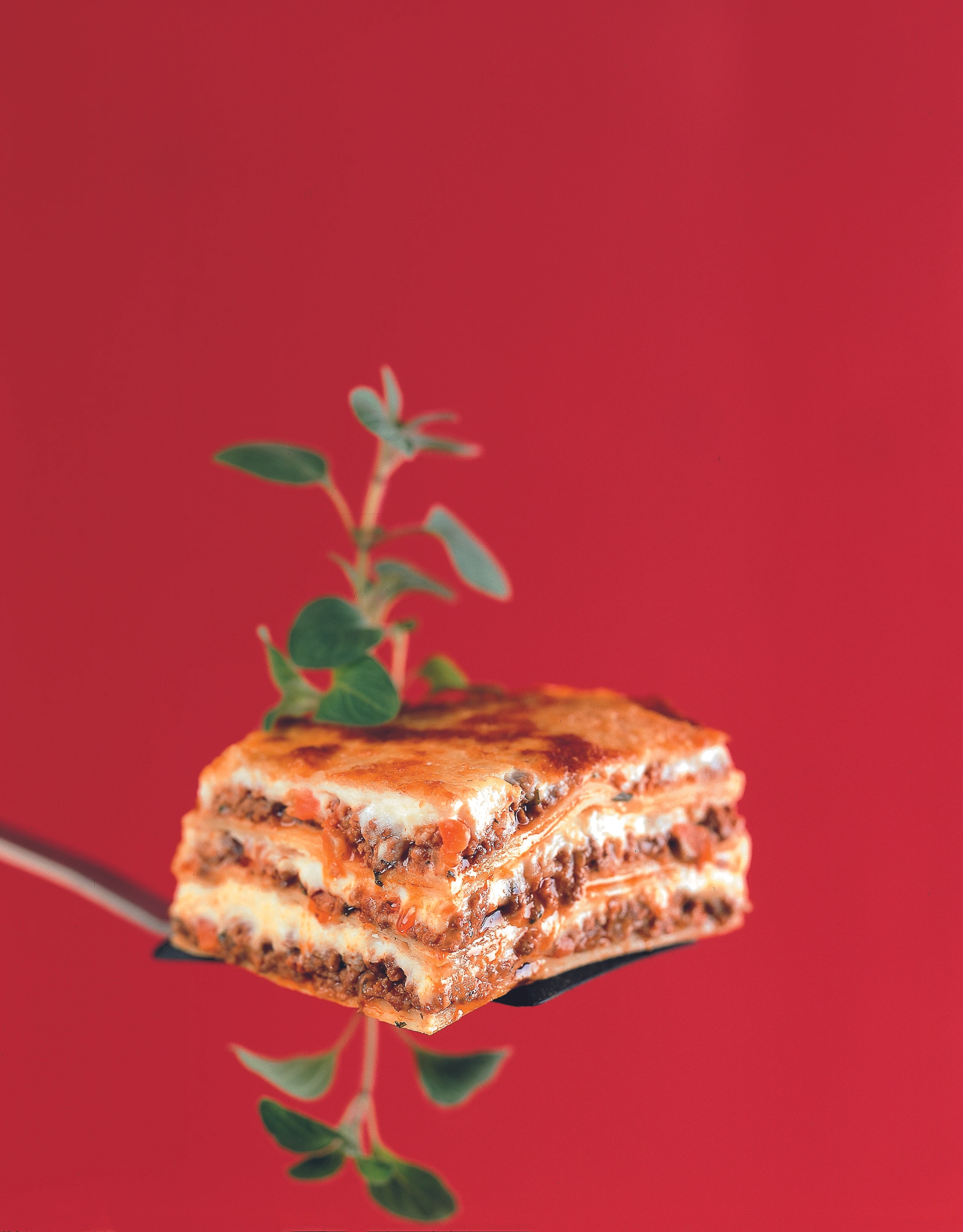 Lasagne mit Fleischragout und selbstgemachten Nudeln