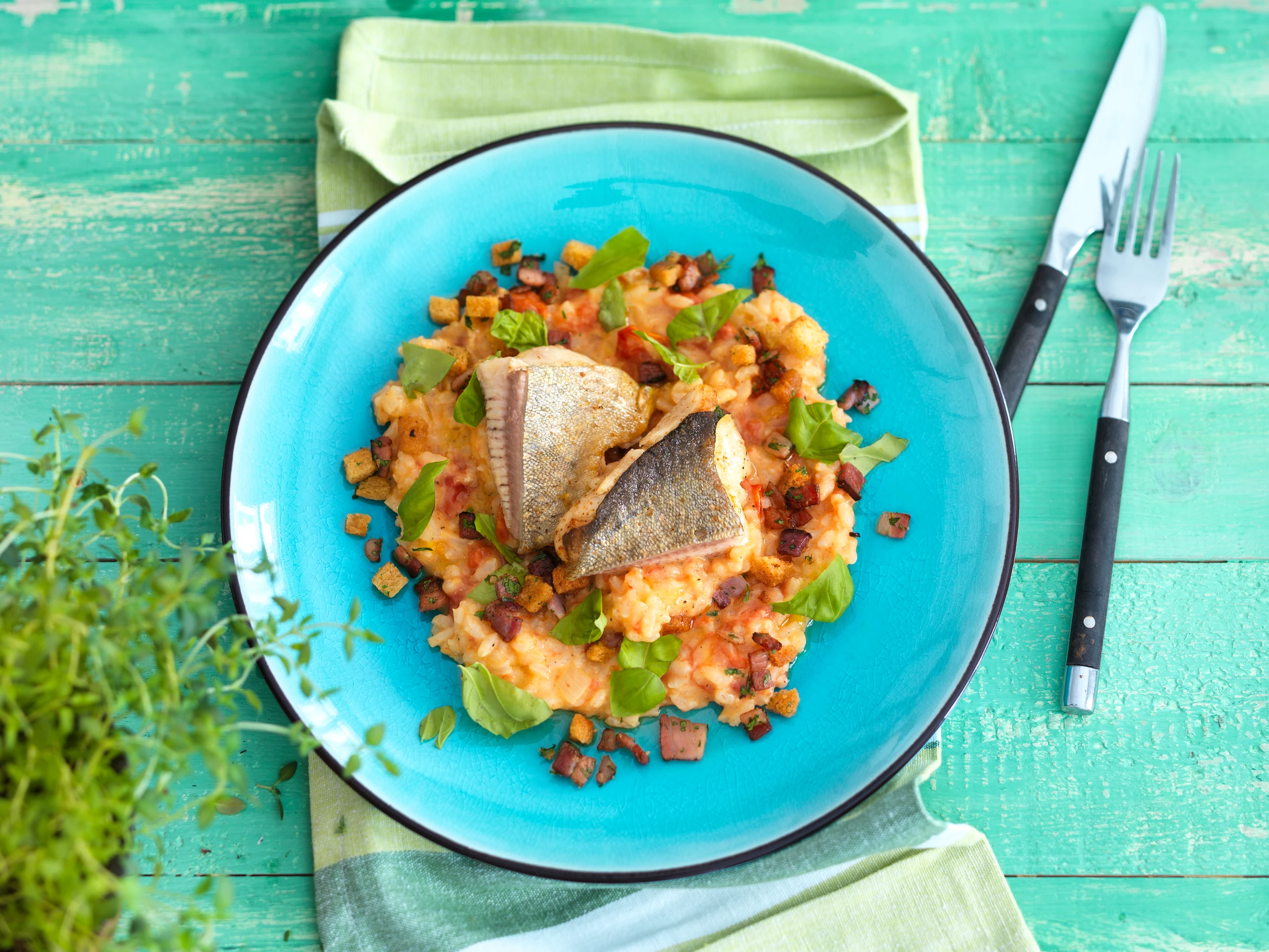 Saiblingsfilets auf Paradeisrisotto