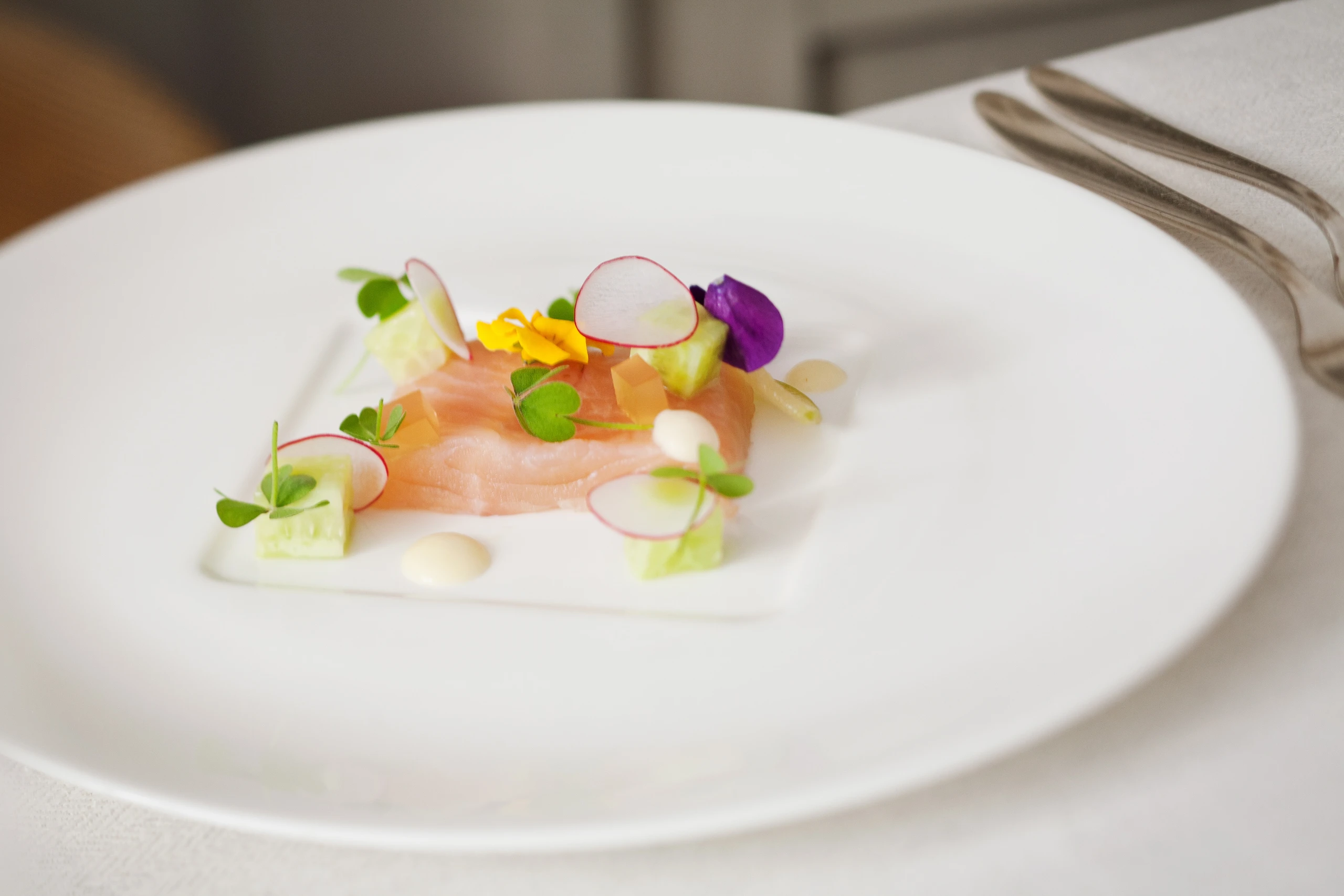 Gebeizter Saibling mit Ricottacreme