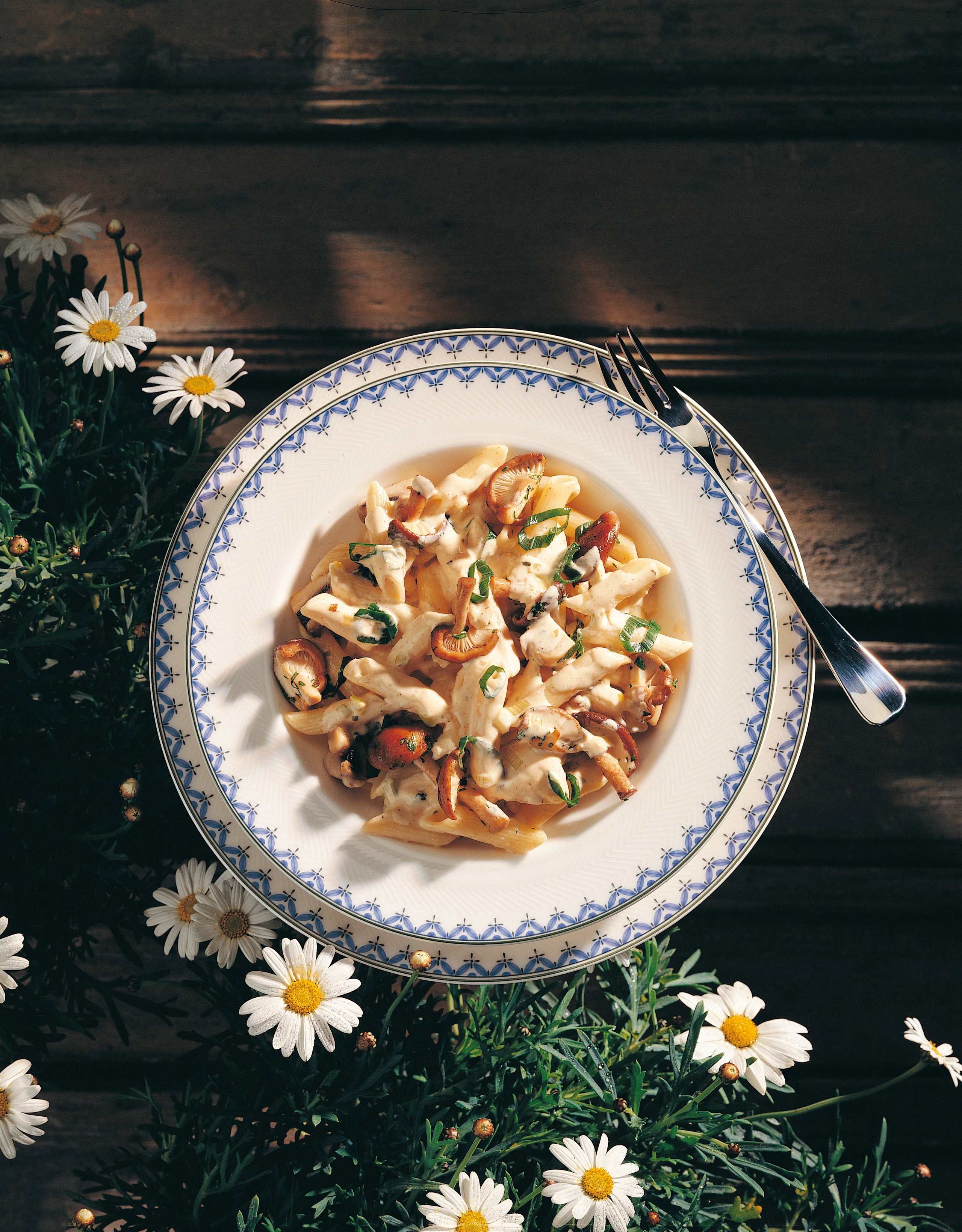 Nudeln mit Schwammerlsauce