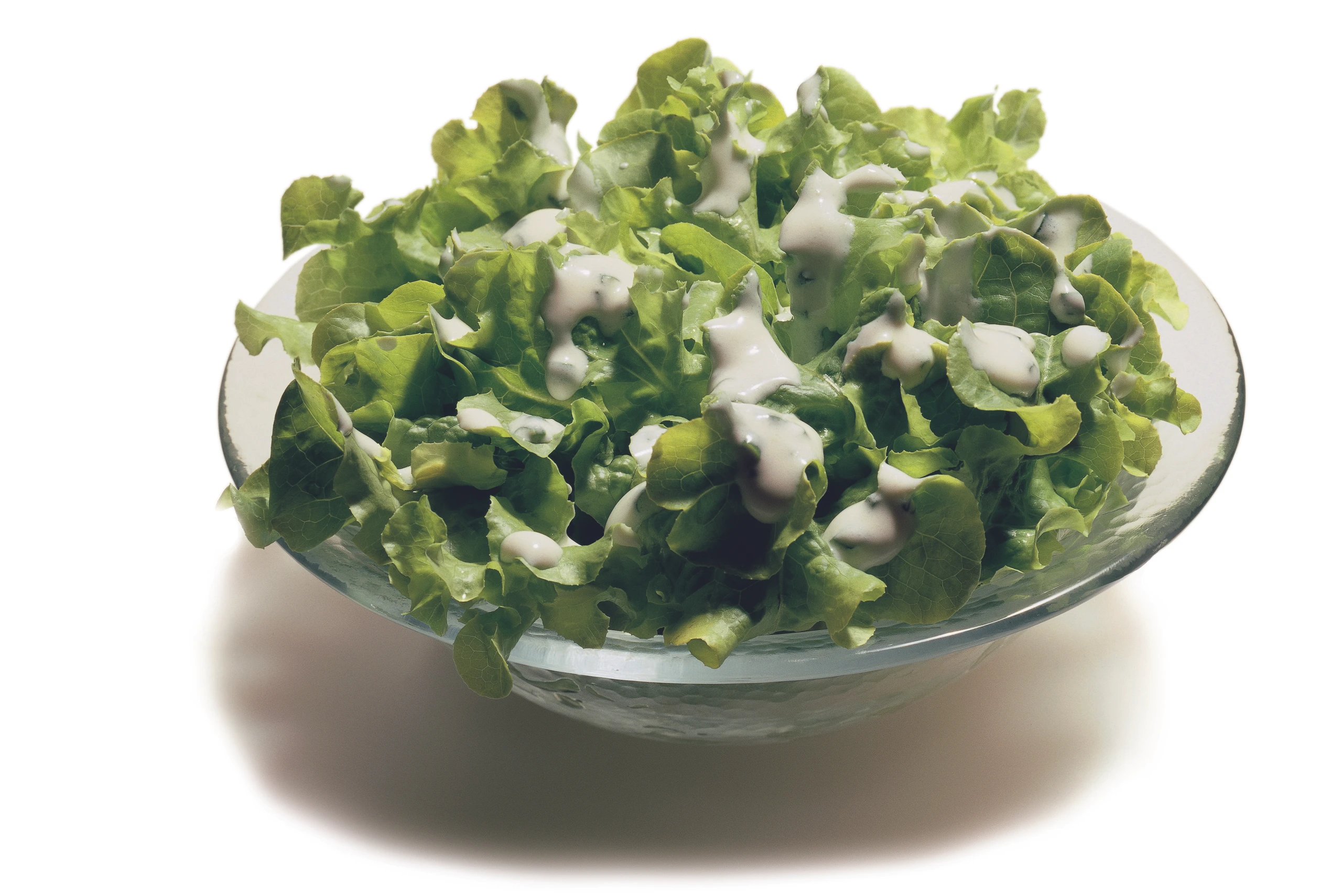 Grüner Eichblattsalat mit Joghurtdressing