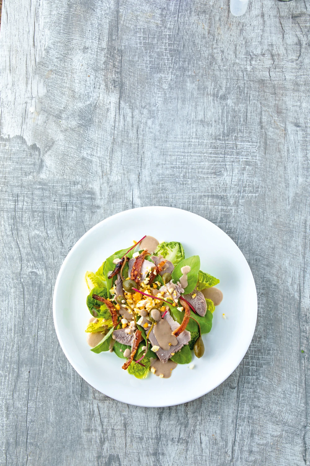 Stelze mit Thunfischsauce, Mangold, Kapern und Ei