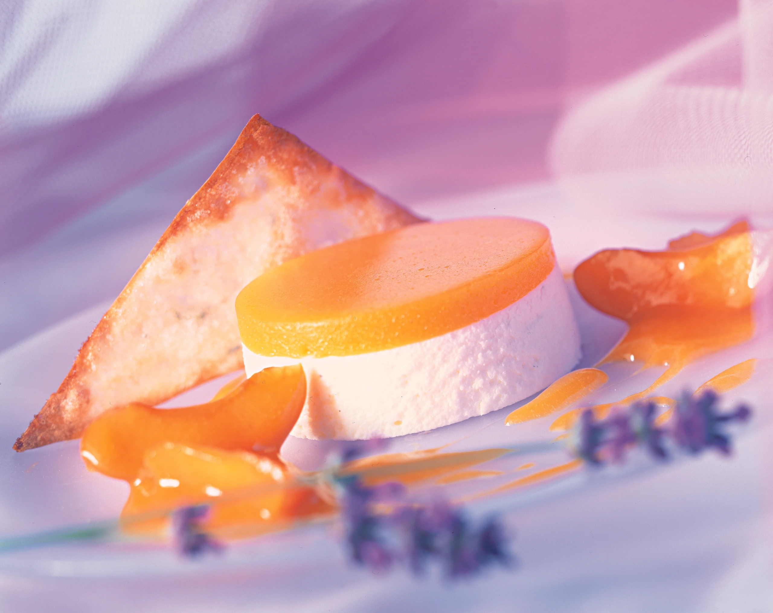 Lavendel-Topfencreme mit Marillen