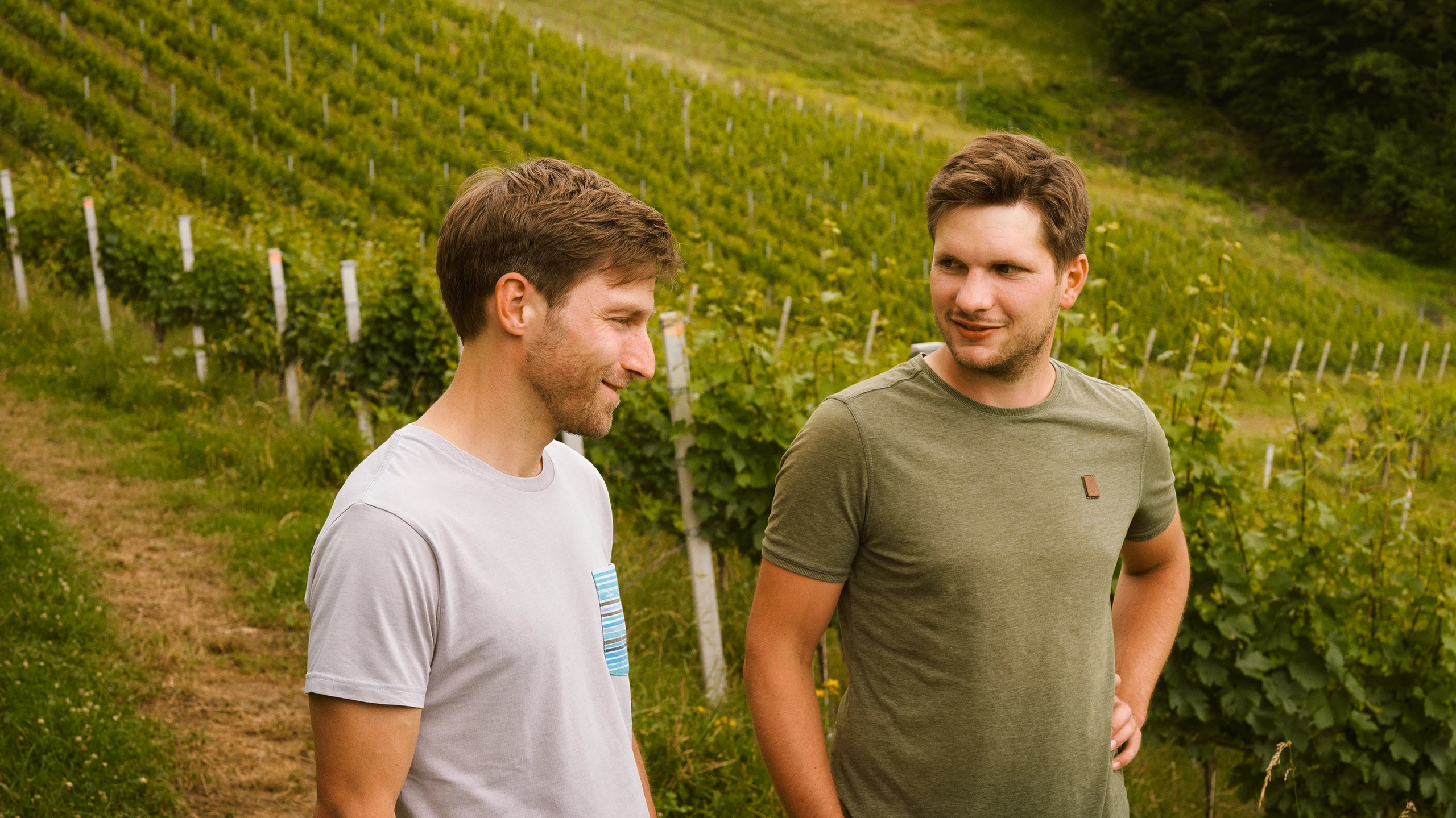 © Martin Stöbich Weingut Bastian Kaltenböck