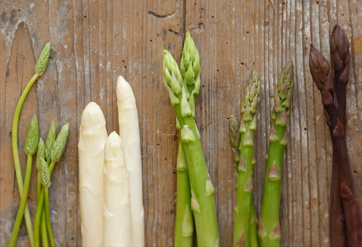 © GUSTO / Theresa Schrems Spargel