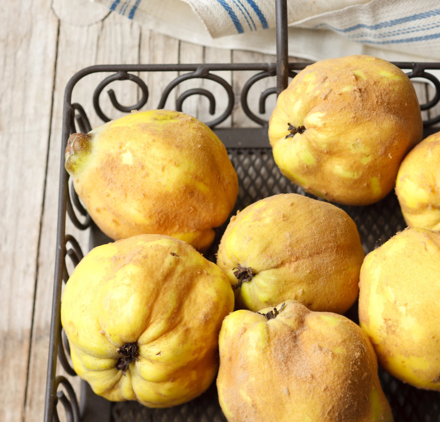 © GUSTO / Theresa Schrems Quitten