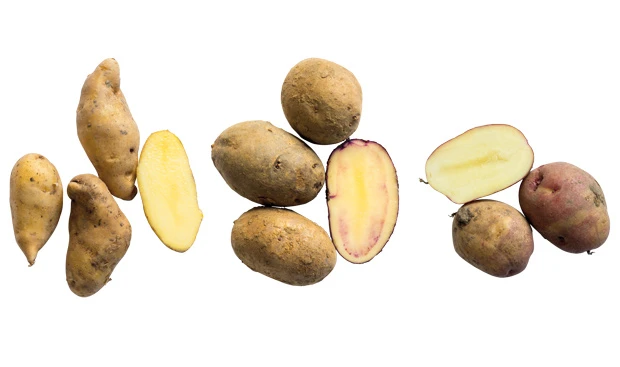 © GUSTO / Helmut Mitter Blurred image background