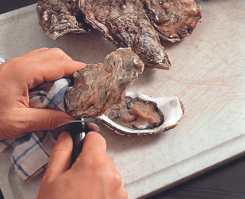 © GUSTO / Stefan Liewehr Blurred image background