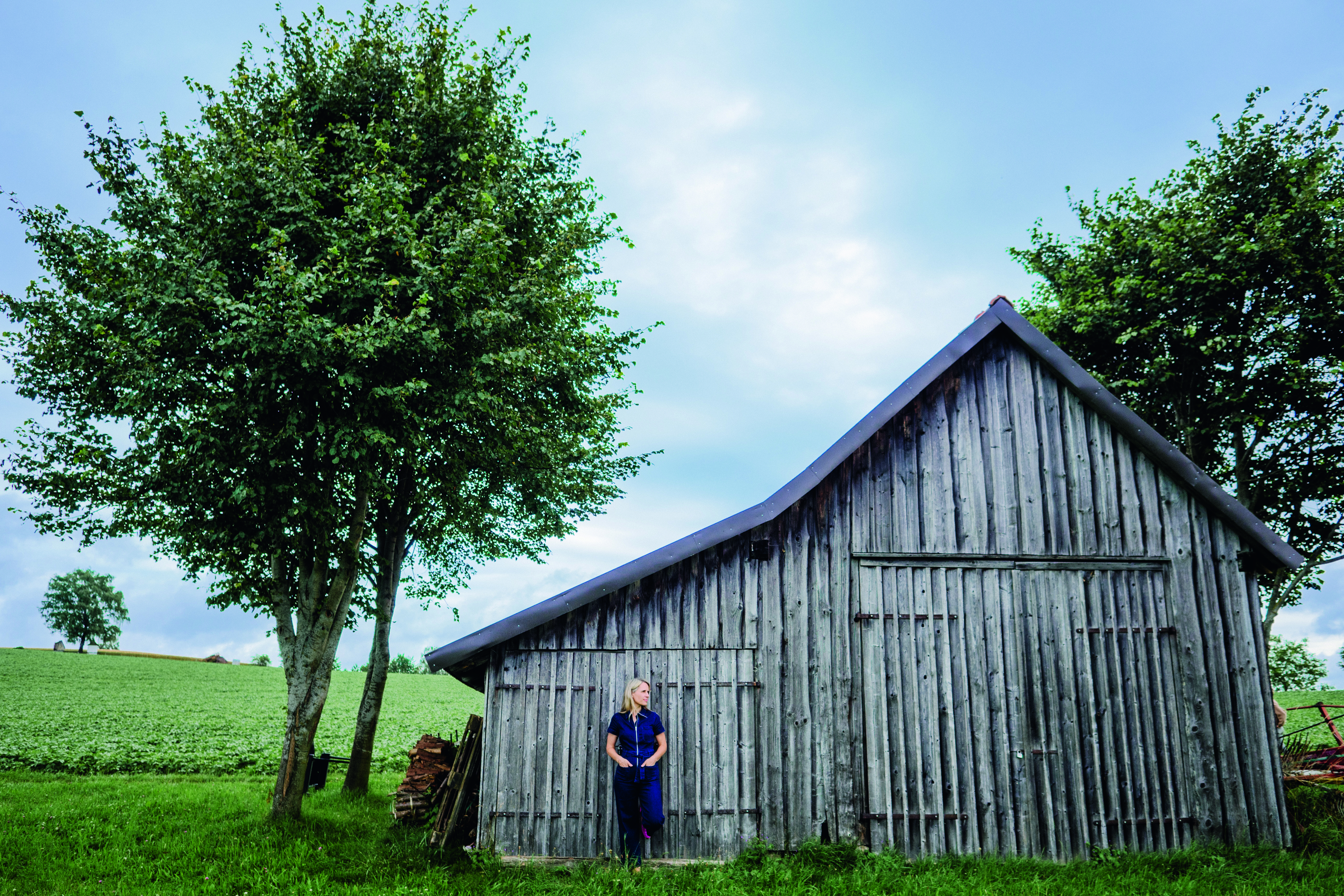 Blurred image background