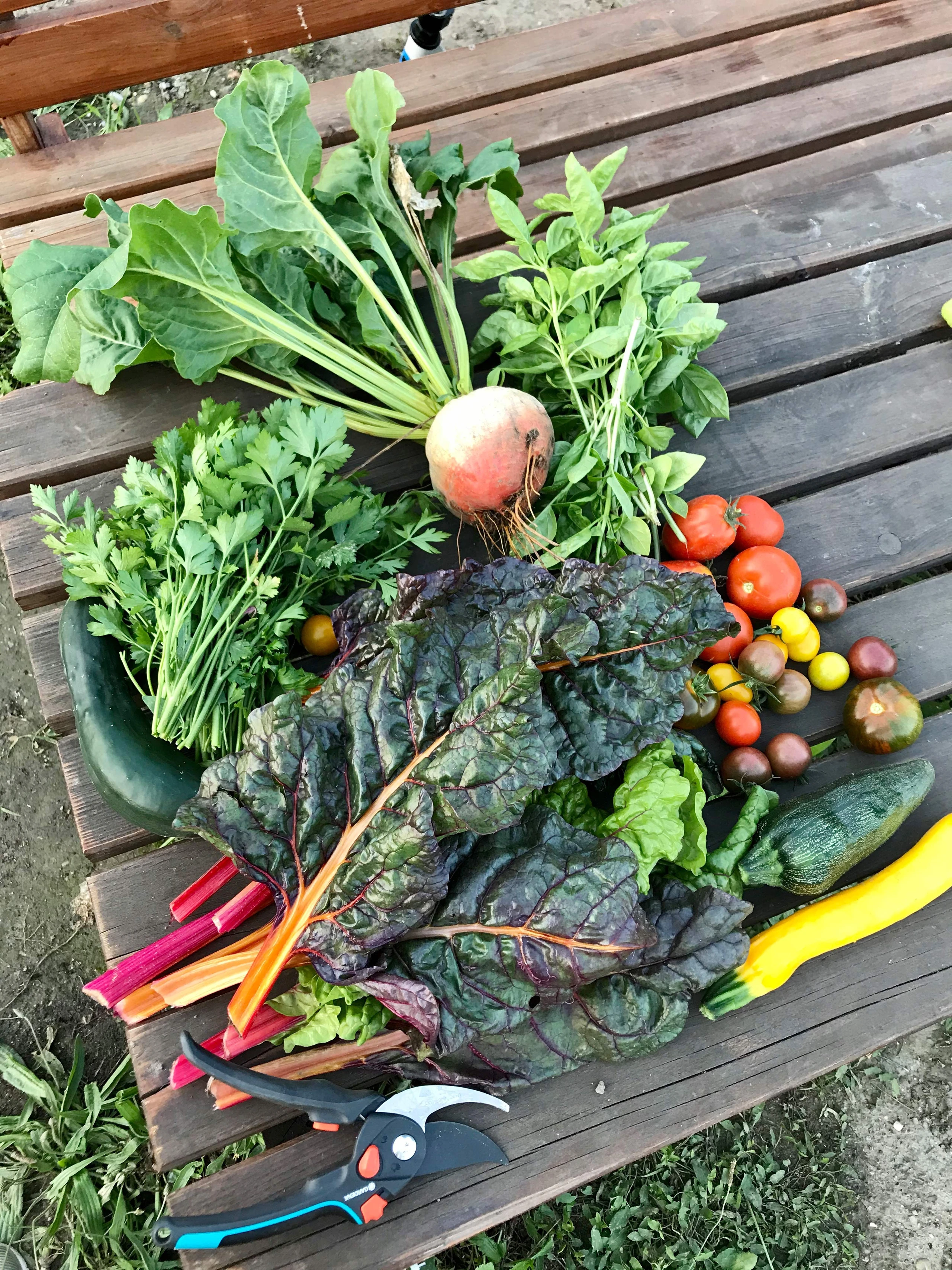 Garten-Gemüse