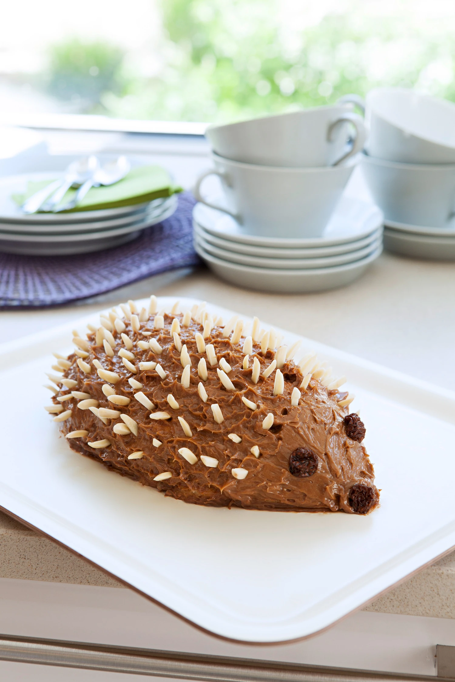 Schoko-Igel mit Biskotten