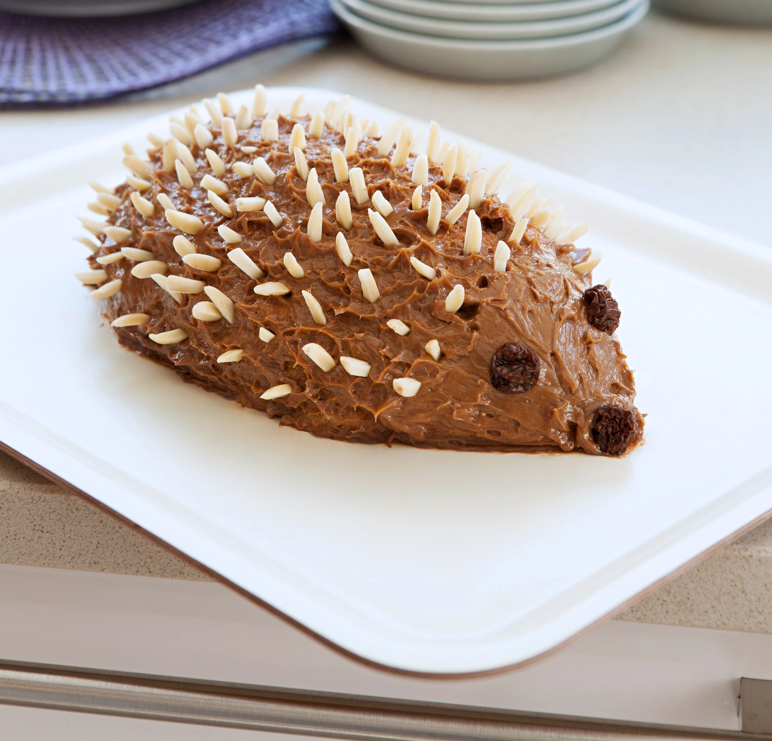 © GUSTO / Eisenhut & Mayer Schoko-Igel mit Biskotten