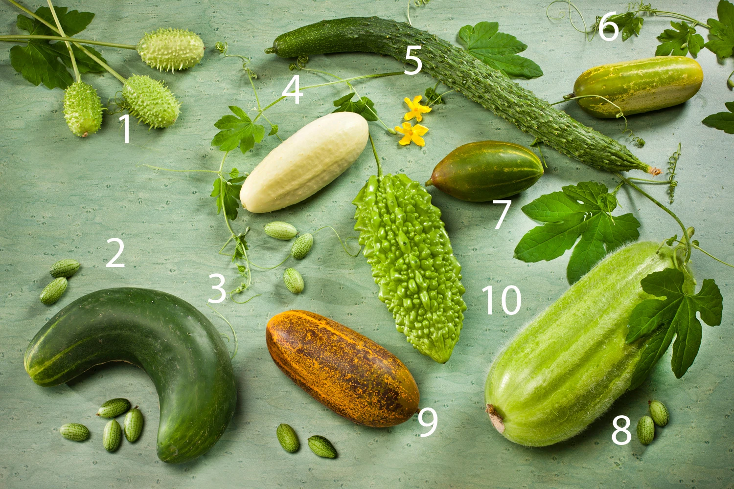 Blurred image background