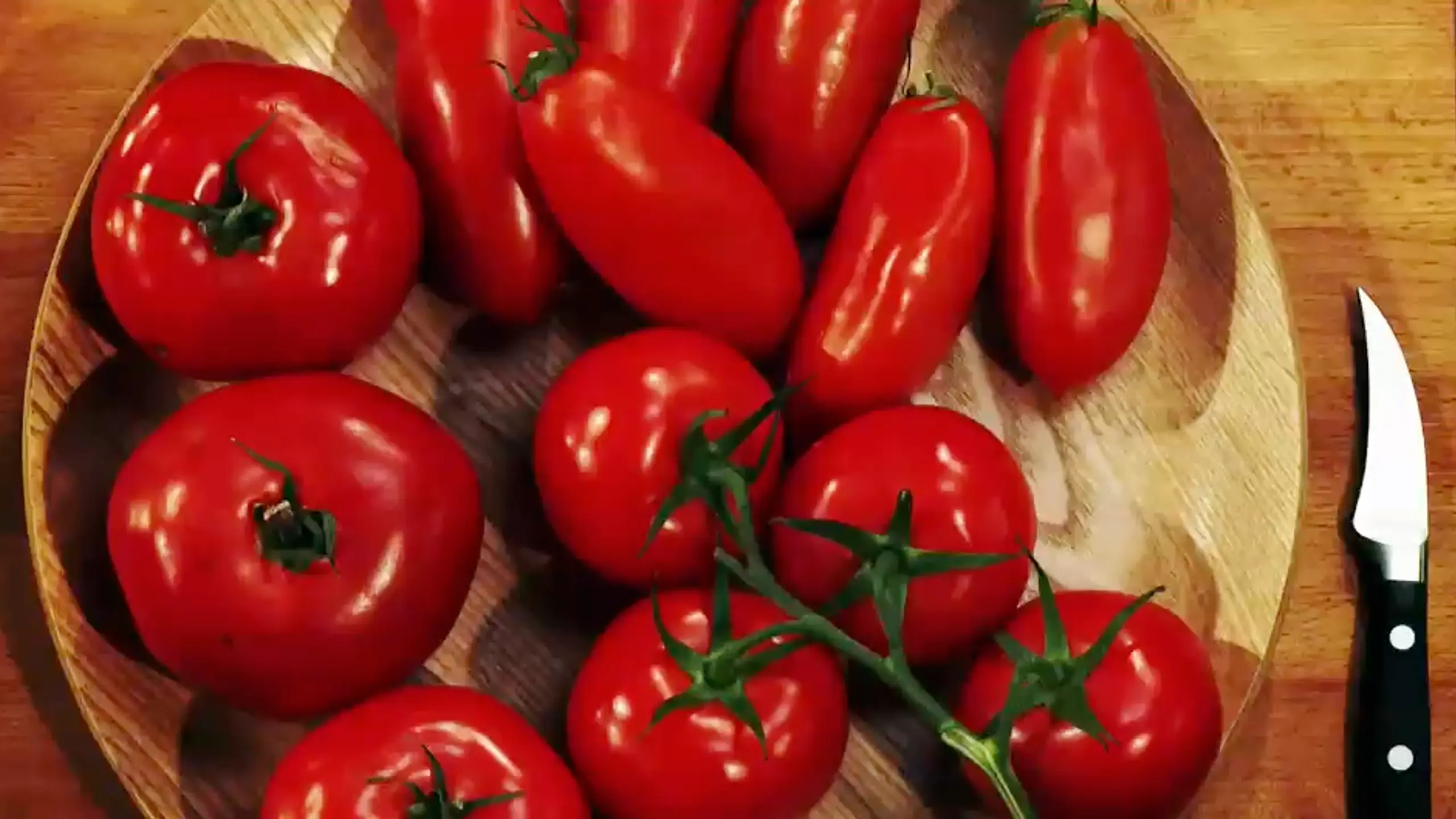 © G+J Digital Products Paradeiser (Tomaten)
