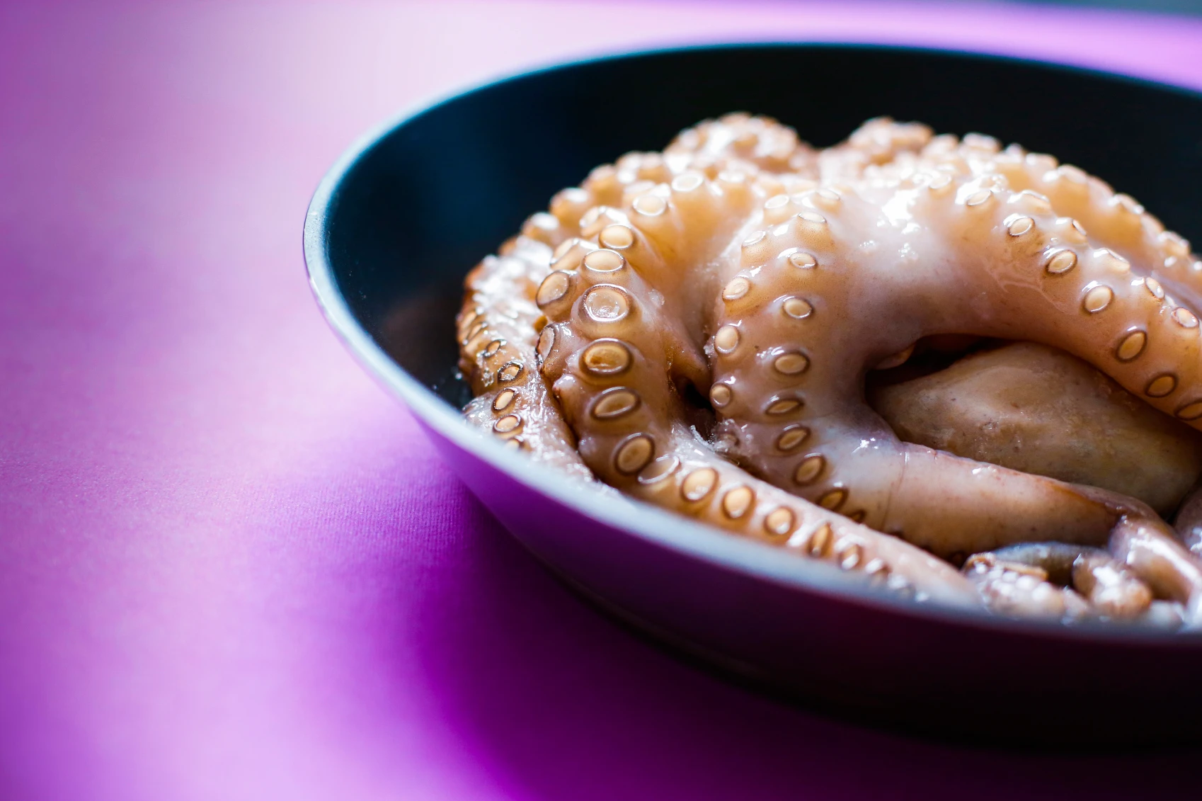 Oktopus vorbereiten und kochen