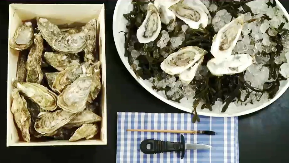 © G+J Digital Products Austern