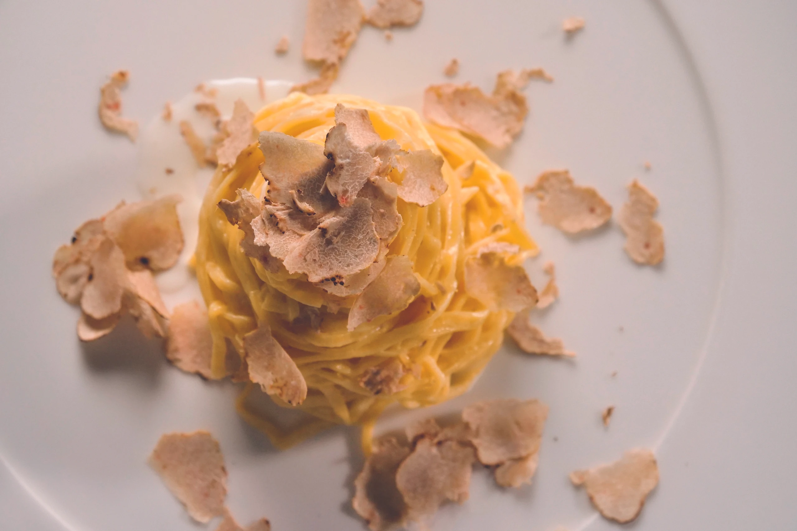 Blurred image background