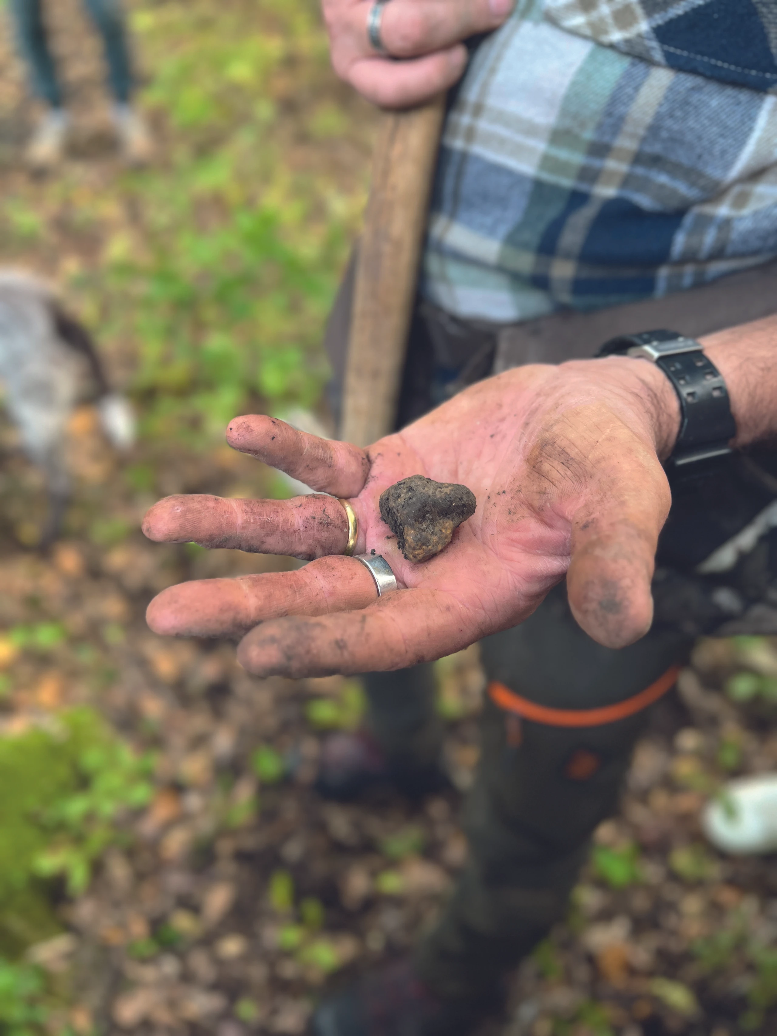 Blurred image background