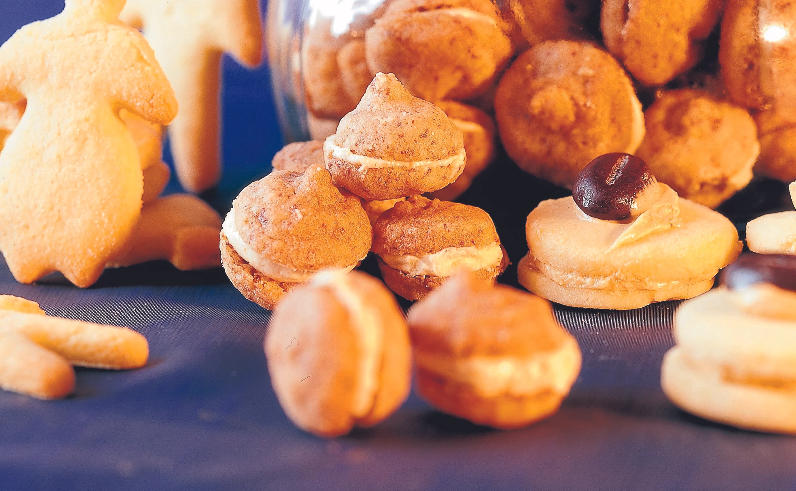 Schokolade-Spritzgebäck