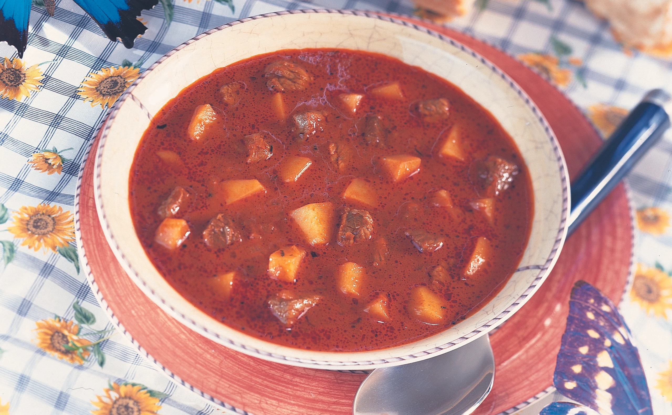 Fein würzige Gulasch-Rezepte